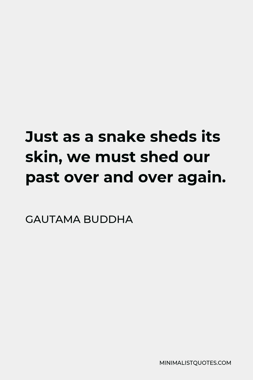 Gautama Buddha Quote - Just as a snake sheds its skin, we must shed our past over and over again.