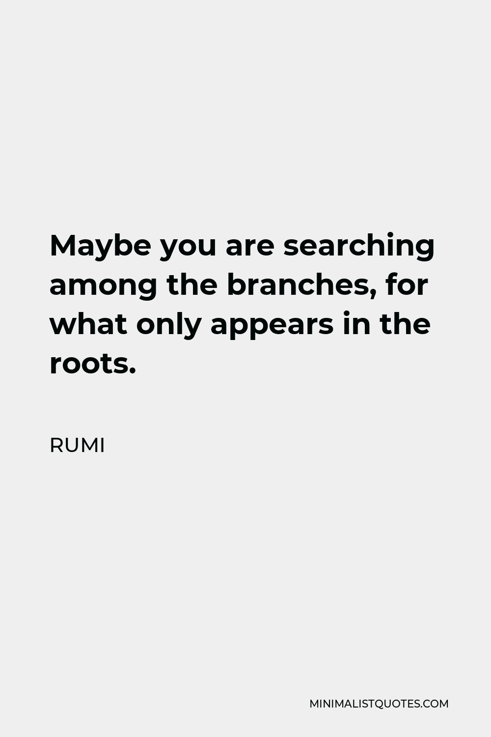 Rumi Quote - Maybe you are searching among the branches, for what only appears in the roots.