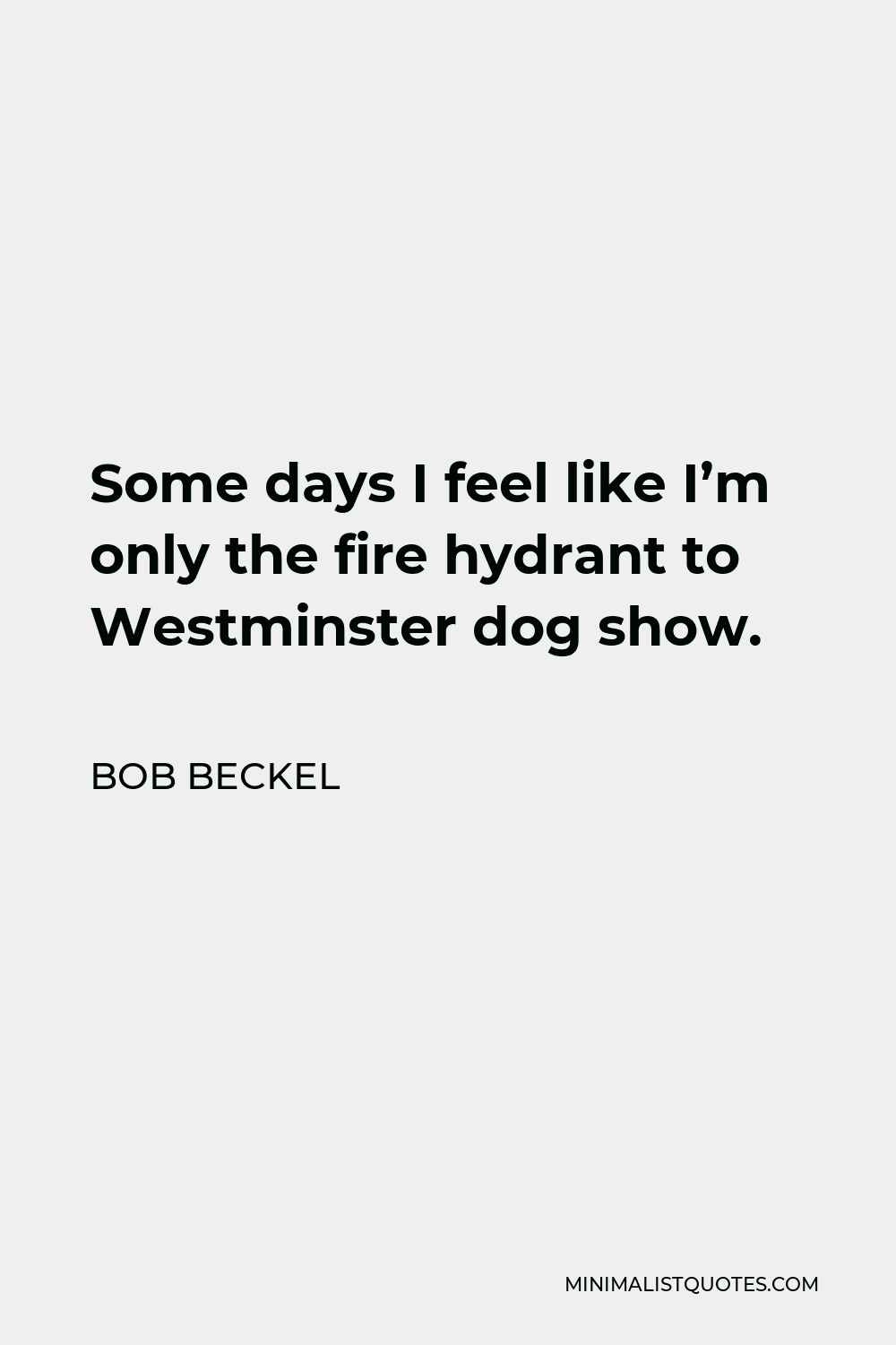 Bob Beckel Quote - Some days I feel like I’m only the fire hydrant to Westminster dog show.
