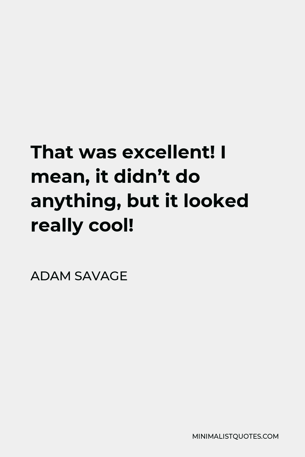 Adam Savage Quote - That was excellent! I mean, it didn’t do anything, but it looked really cool!