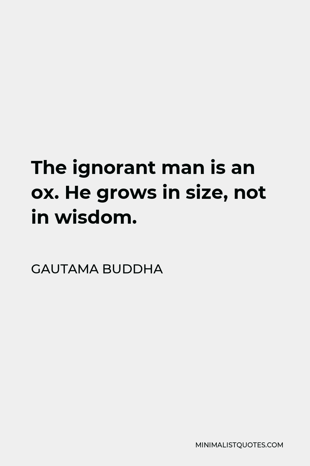 Gautama Buddha Quote - The ignorant man is an ox. He grows in size, not in wisdom.