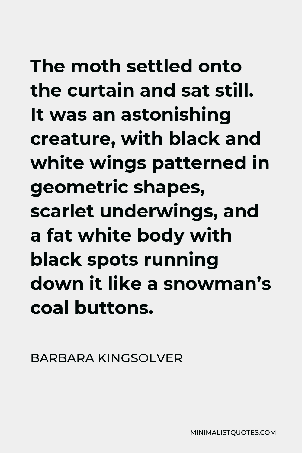 Barbara Kingsolver Quote - The moth settled onto the curtain and sat still. It was an astonishing creature, with black and white wings patterned in geometric shapes, scarlet underwings, and a fat white body with black spots running down it like a snowman’s coal buttons.