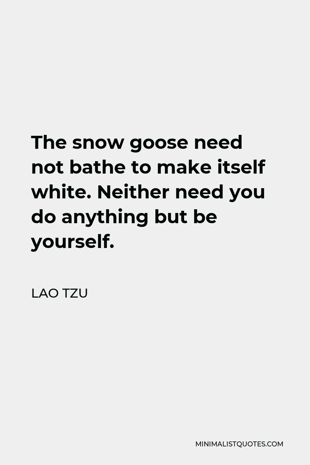 Lao Tzu Quote - The snow goose need not bathe to make itself white. Neither need you do anything but be yourself.