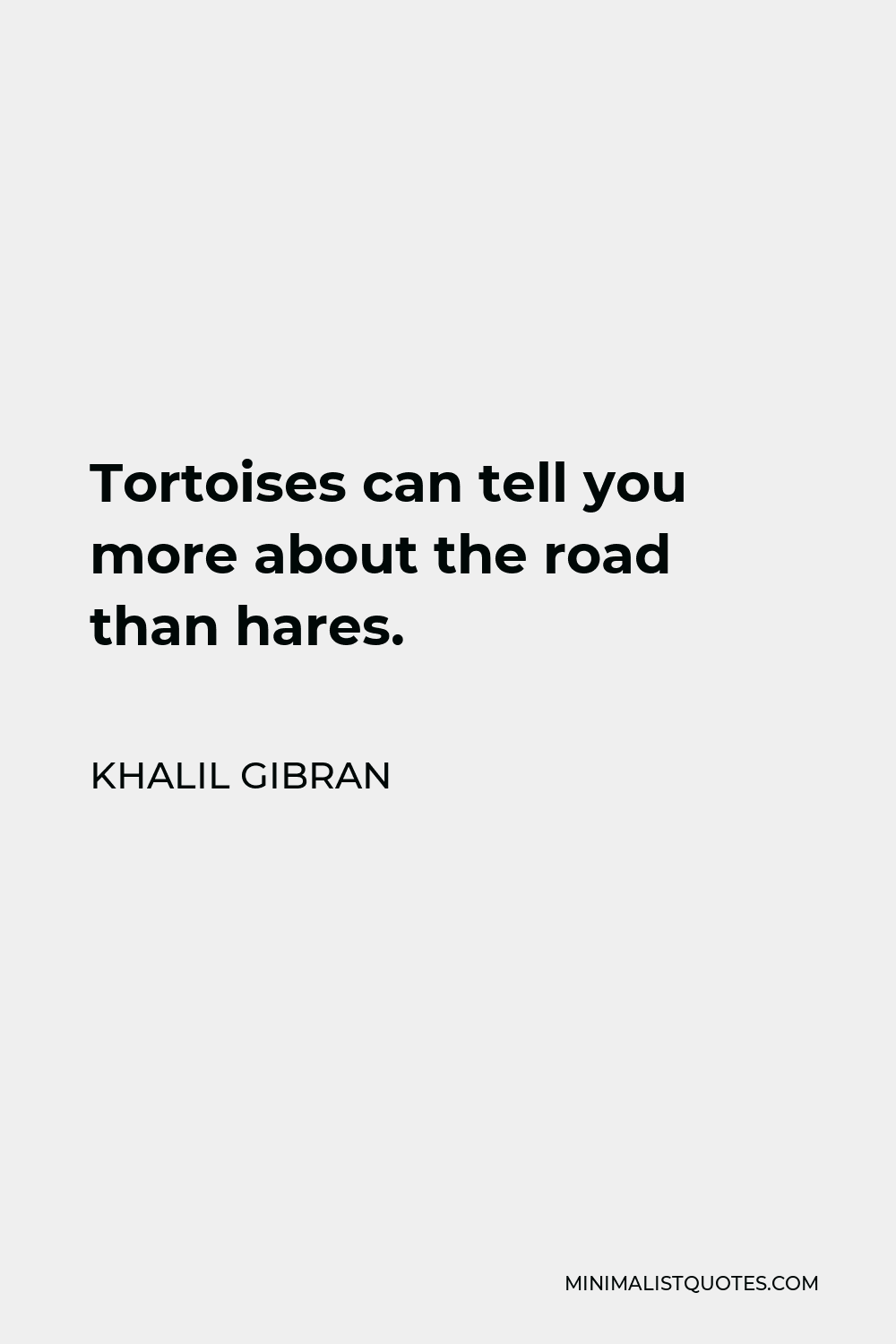 Khalil Gibran Quote - Tortoises can tell you more about the road than hares.