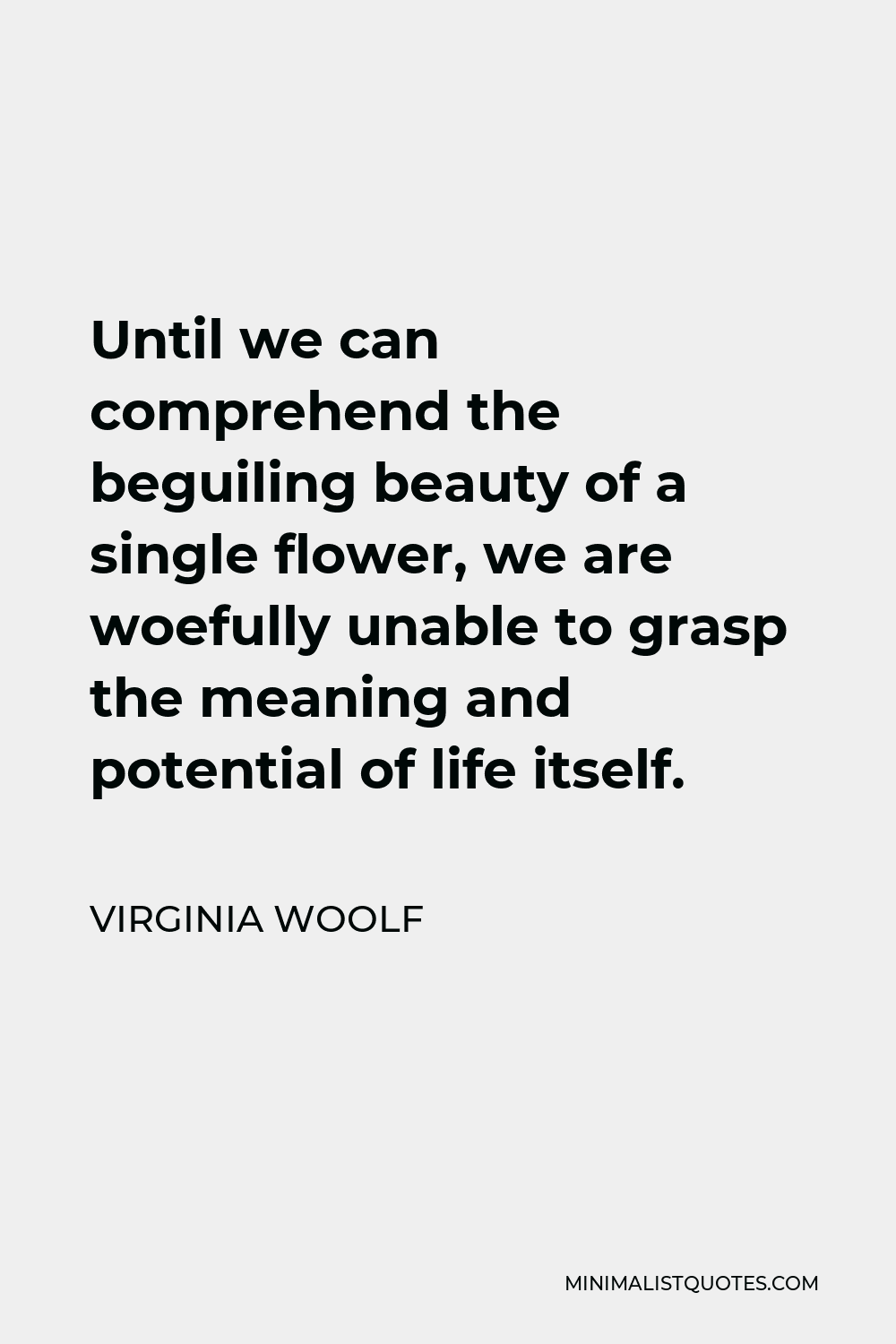 Virginia Woolf Quote - Until we can comprehend the beguiling beauty of a single flower, we are woefully unable to grasp the meaning and potential of life itself.