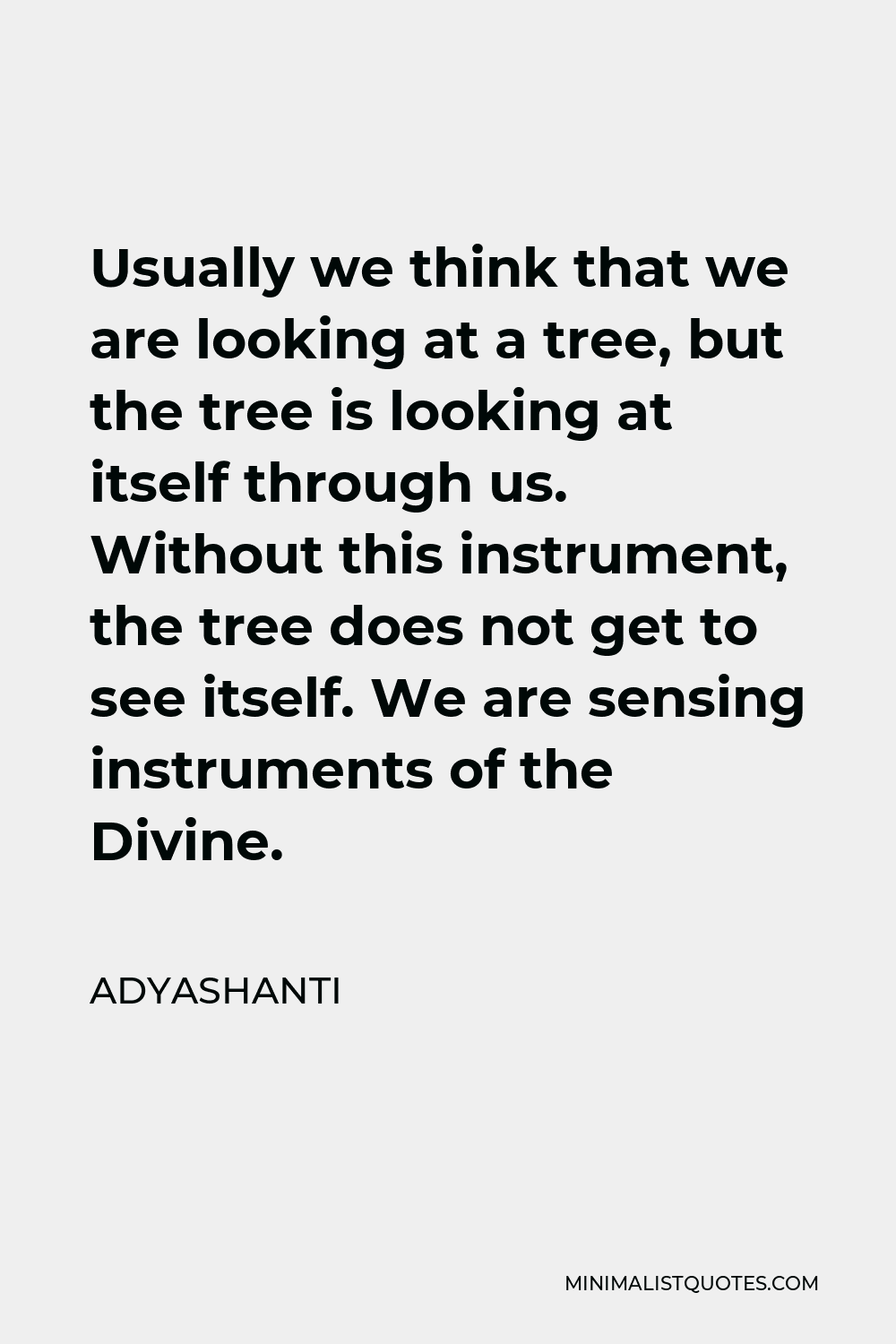 Adyashanti Quote - Usually we think that we are looking at a tree, but the tree is looking at itself through us. Without this instrument, the tree does not get to see itself. We are sensing instruments of the Divine.