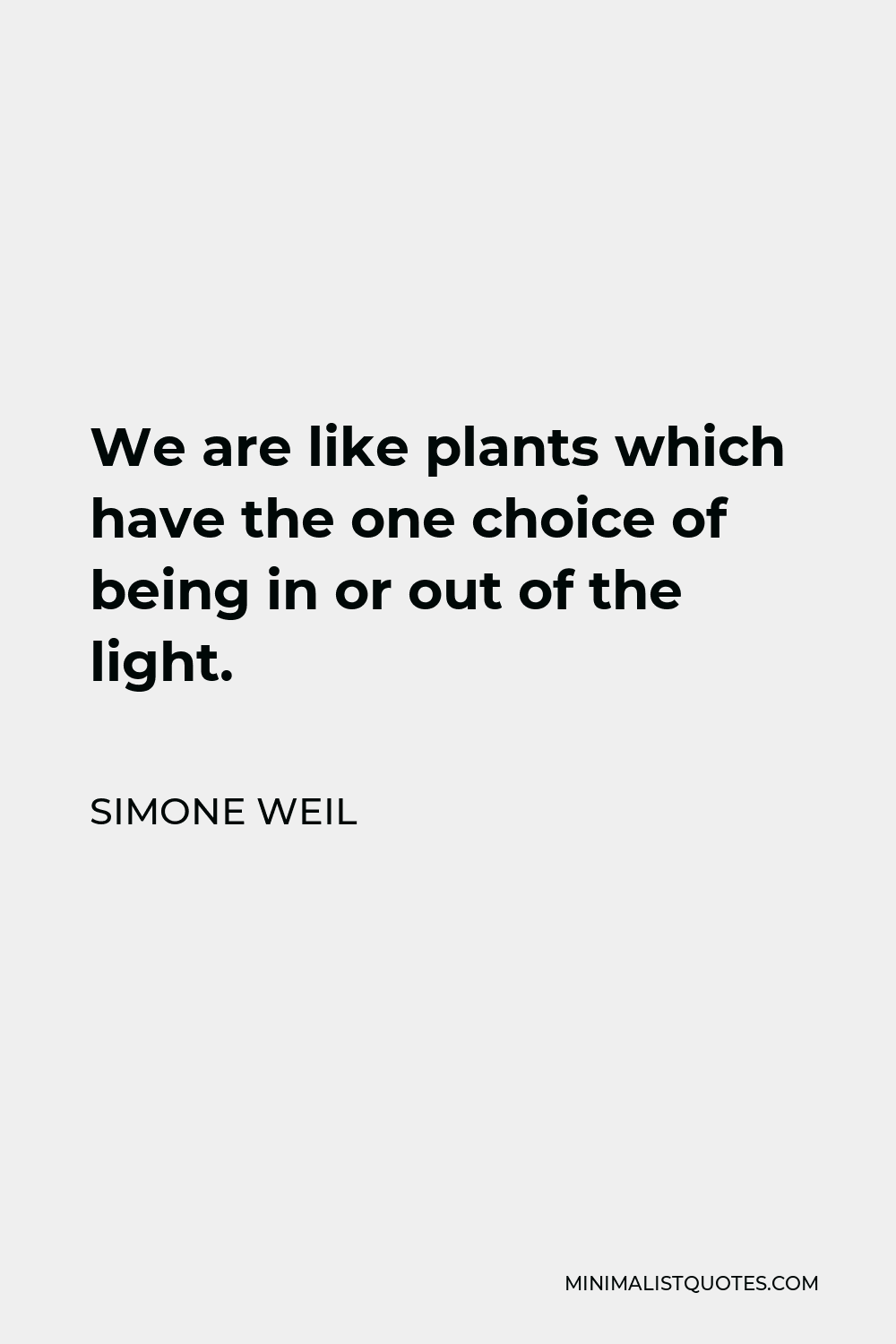 Simone Weil Quote - We are like plants which have the one choice of being in or out of the light.