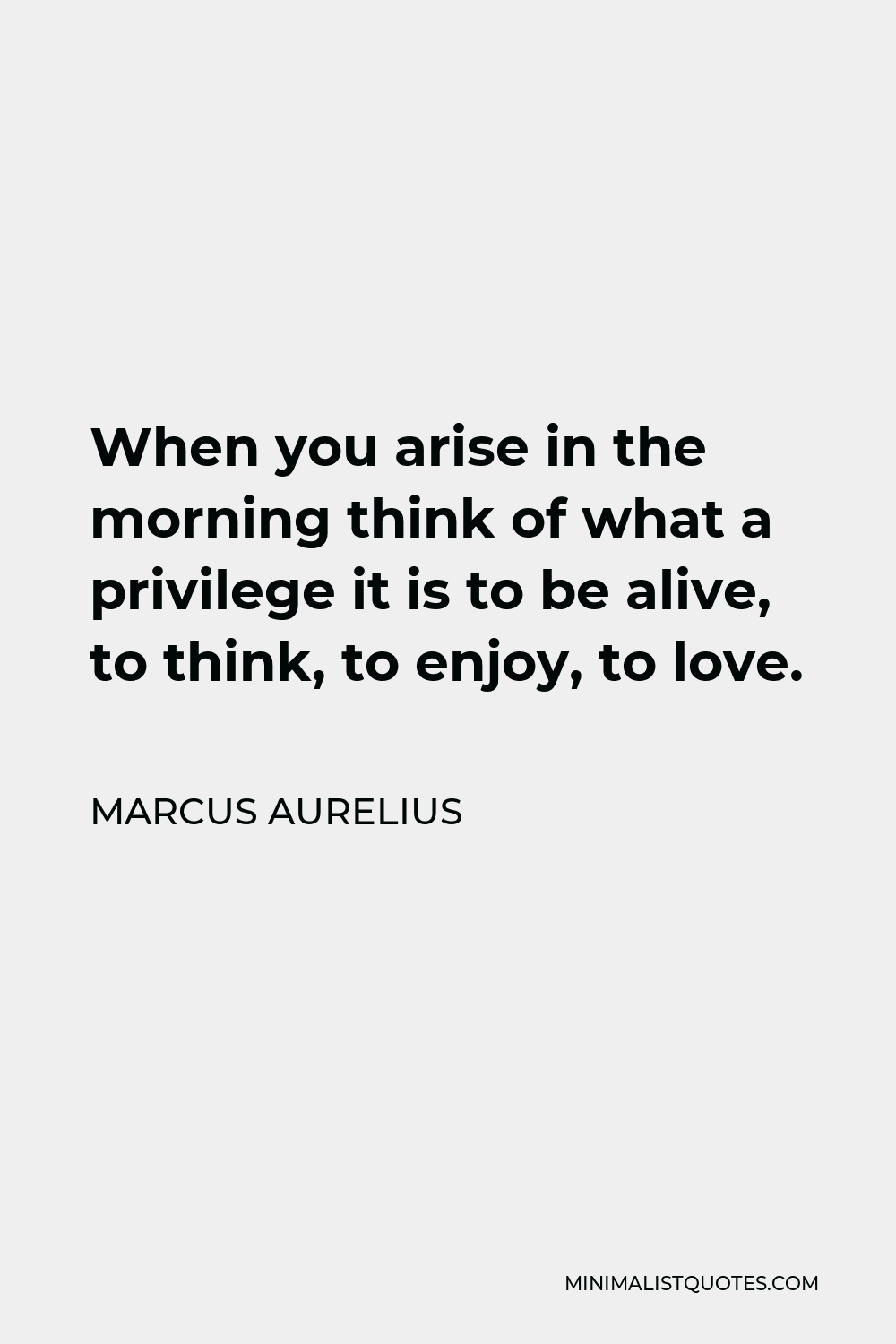Marcus Aurelius Quote - When you arise in the morning think of what a privilege it is to be alive, to think, to enjoy, to love.