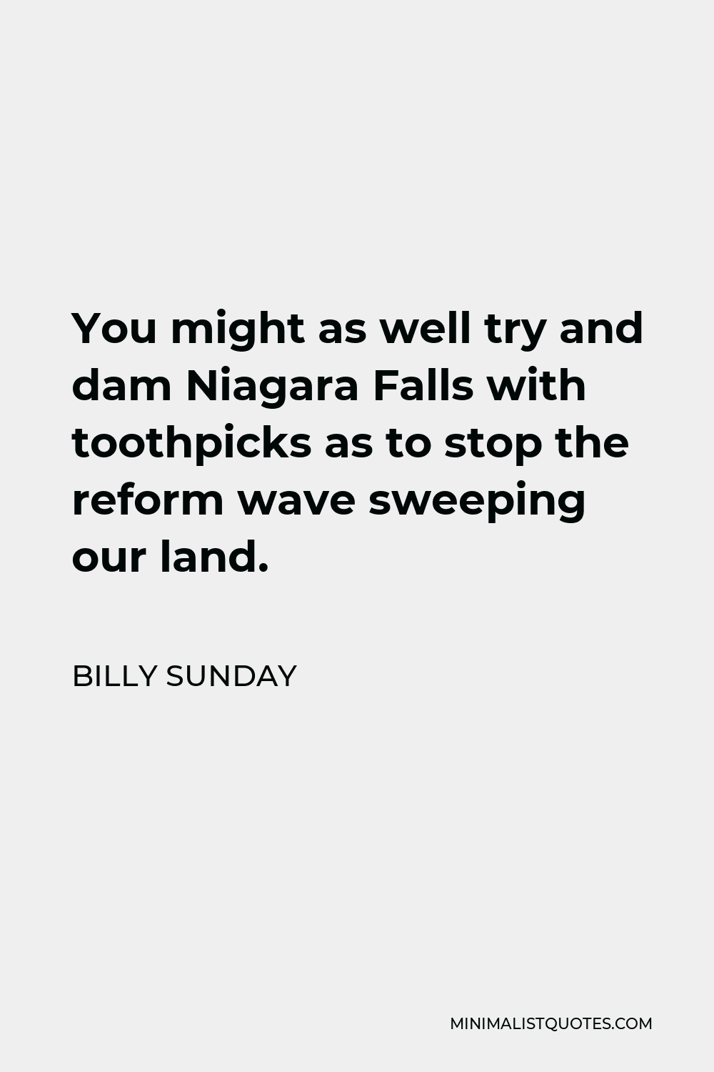 Billy Sunday Quote - You might as well try and dam Niagara Falls with toothpicks as to stop the reform wave sweeping our land.