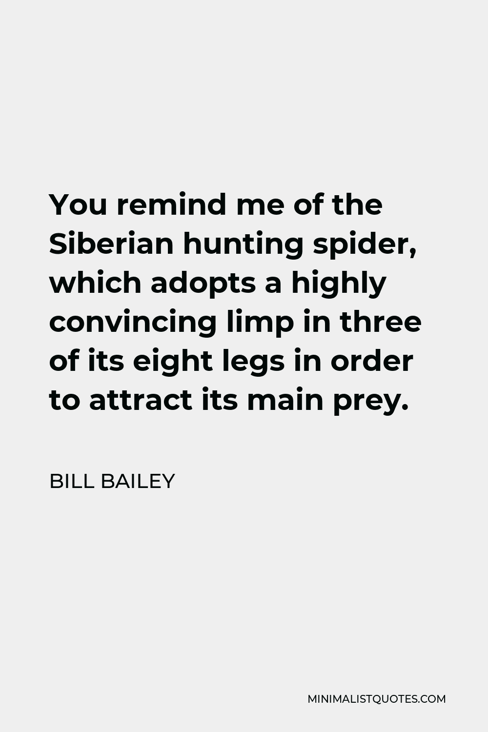 Bill Bailey Quote - You remind me of the Siberian hunting spider, which adopts a highly convincing limp in three of its eight legs in order to attract its main prey.