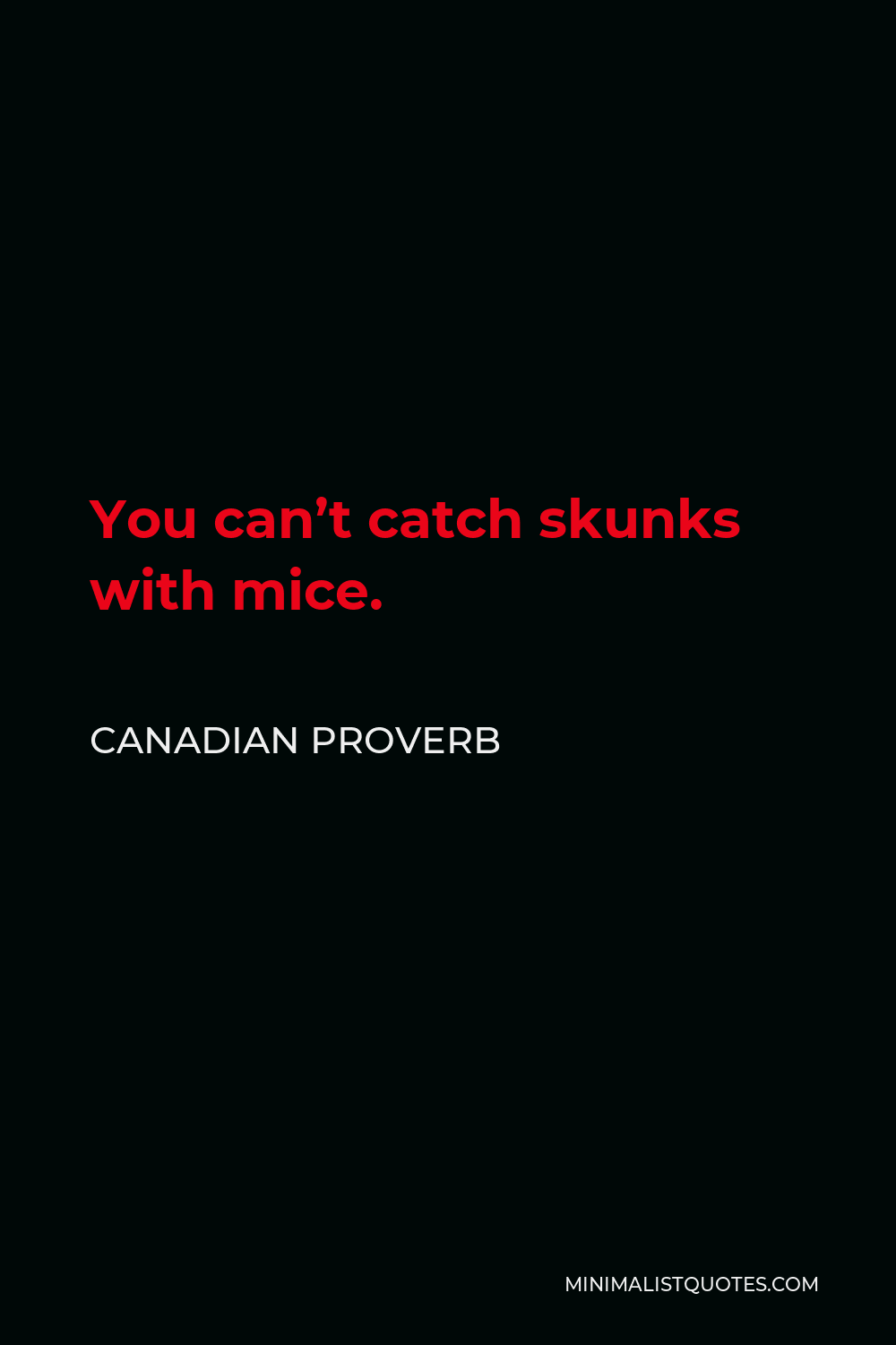 Canadian Proverb Quote - You can’t catch skunks with mice.