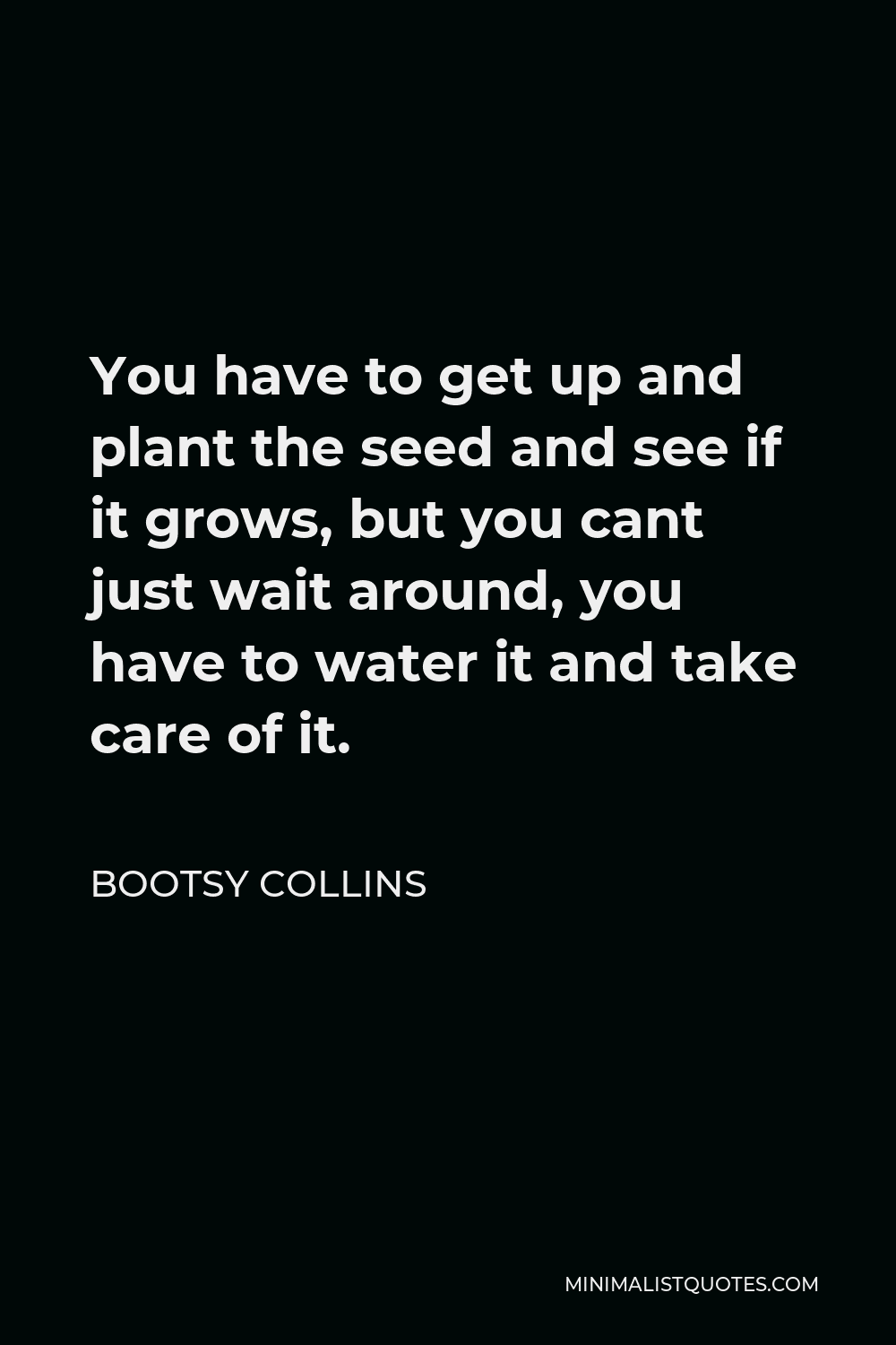 Bootsy Collins Quote - You have to get up and plant the seed and see if it grows, but you cant just wait around, you have to water it and take care of it.