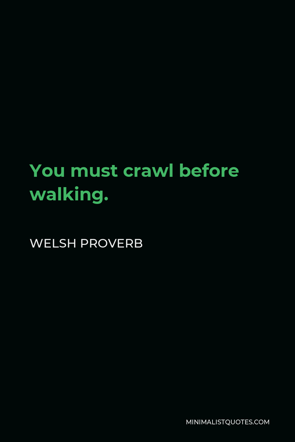 Welsh Proverb Quote - You must crawl before walking.