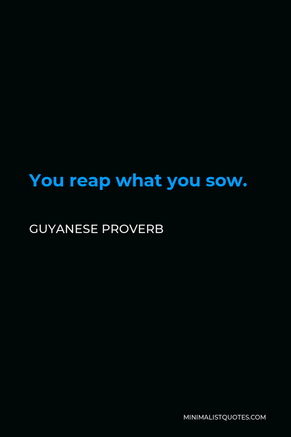 Guyanese Proverb Quote - You reap what you sow.