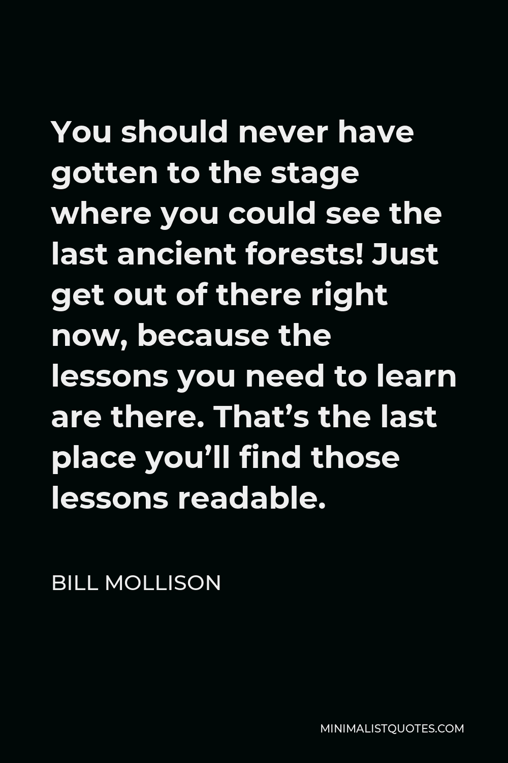 Bill Mollison Quote - You should never have gotten to the stage where you could see the last ancient forests! Just get out of there right now, because the lessons you need to learn are there. That’s the last place you’ll find those lessons readable.