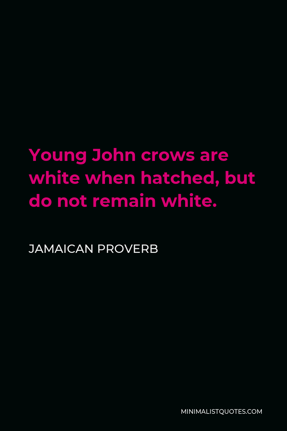 Jamaican Proverb Quote - Young John crows are white when hatched, but do not remain white.