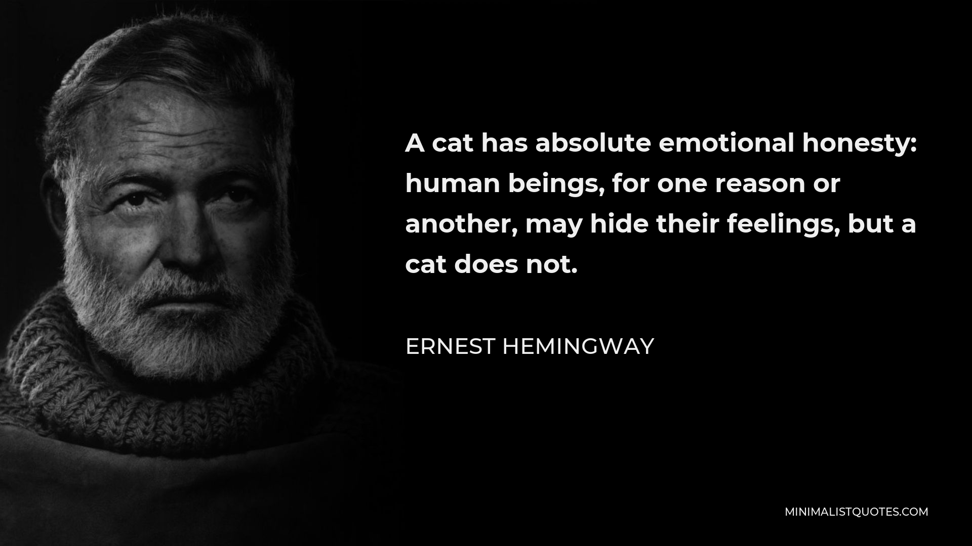 Ernest Hemingway Quote - A cat has absolute emotional honesty: human beings, for one reason or another, may hide their feelings, but a cat does not.