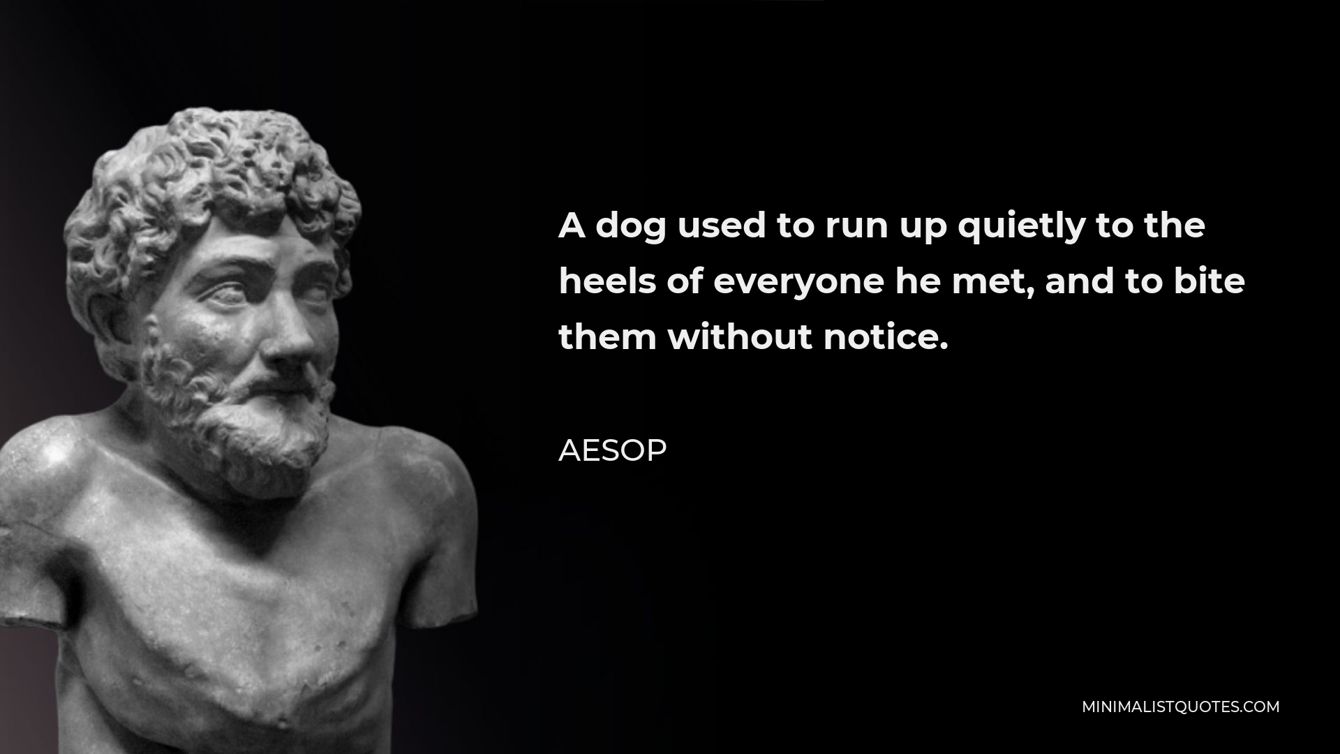 Aesop Quote - A dog used to run up quietly to the heels of everyone he met, and to bite them without notice.