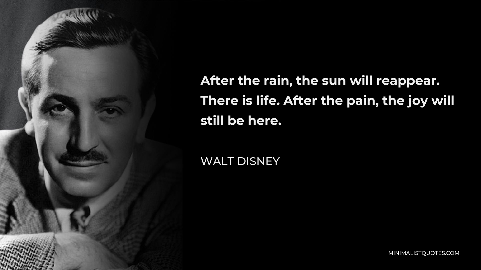 Walt Disney Quote - After the rain, the sun will reappear. There is life. After the pain, the joy will still be here.
