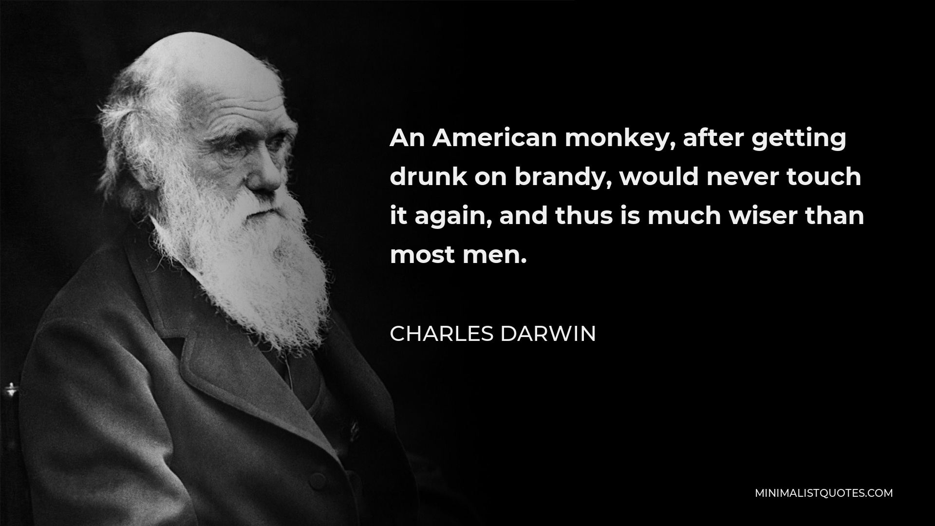 Charles Darwin Quote - An American monkey, after getting drunk on brandy, would never touch it again, and thus is much wiser than most men.