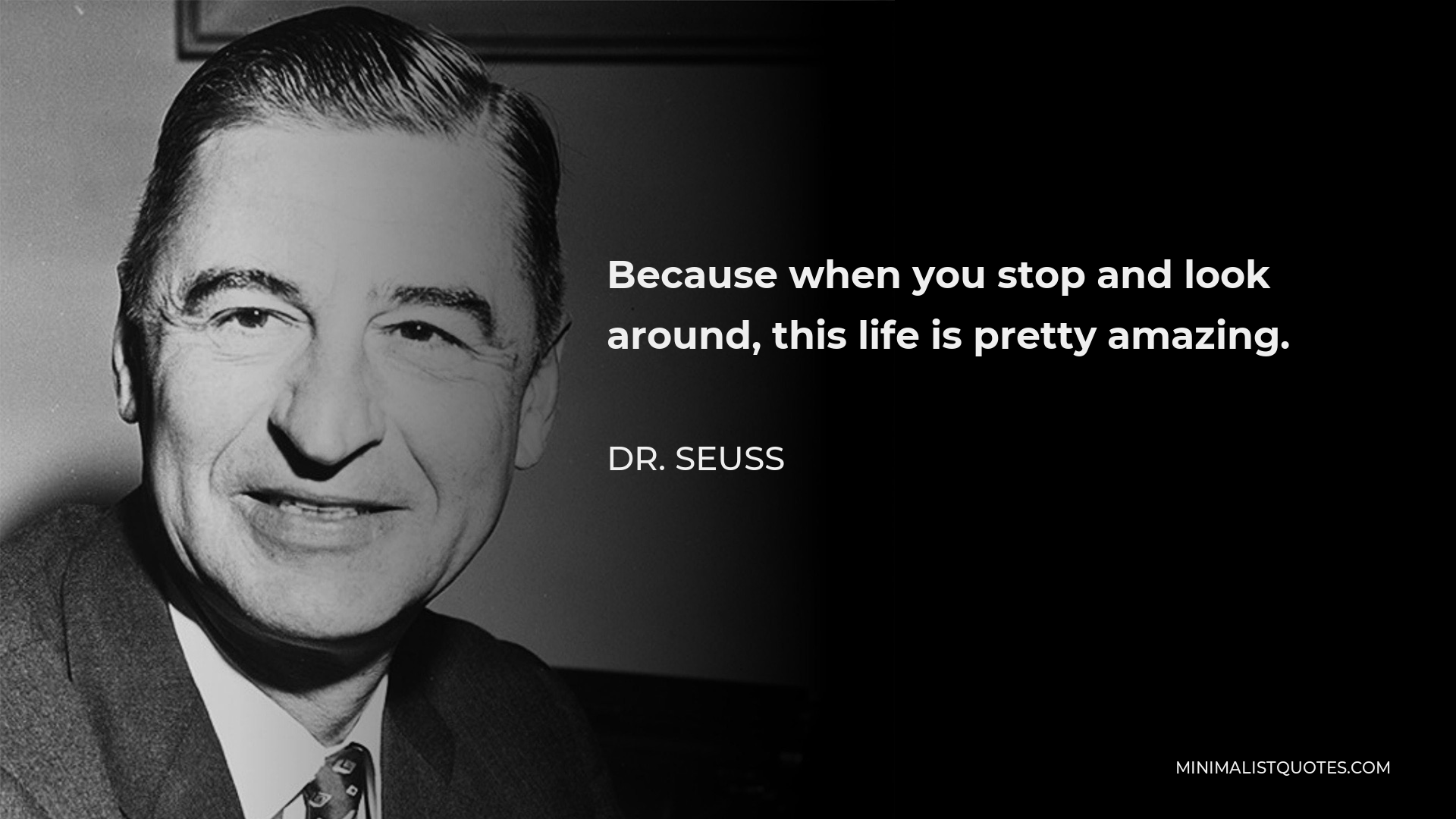 Dr. Seuss Quote - Because when you stop and look around, this life is pretty amazing.