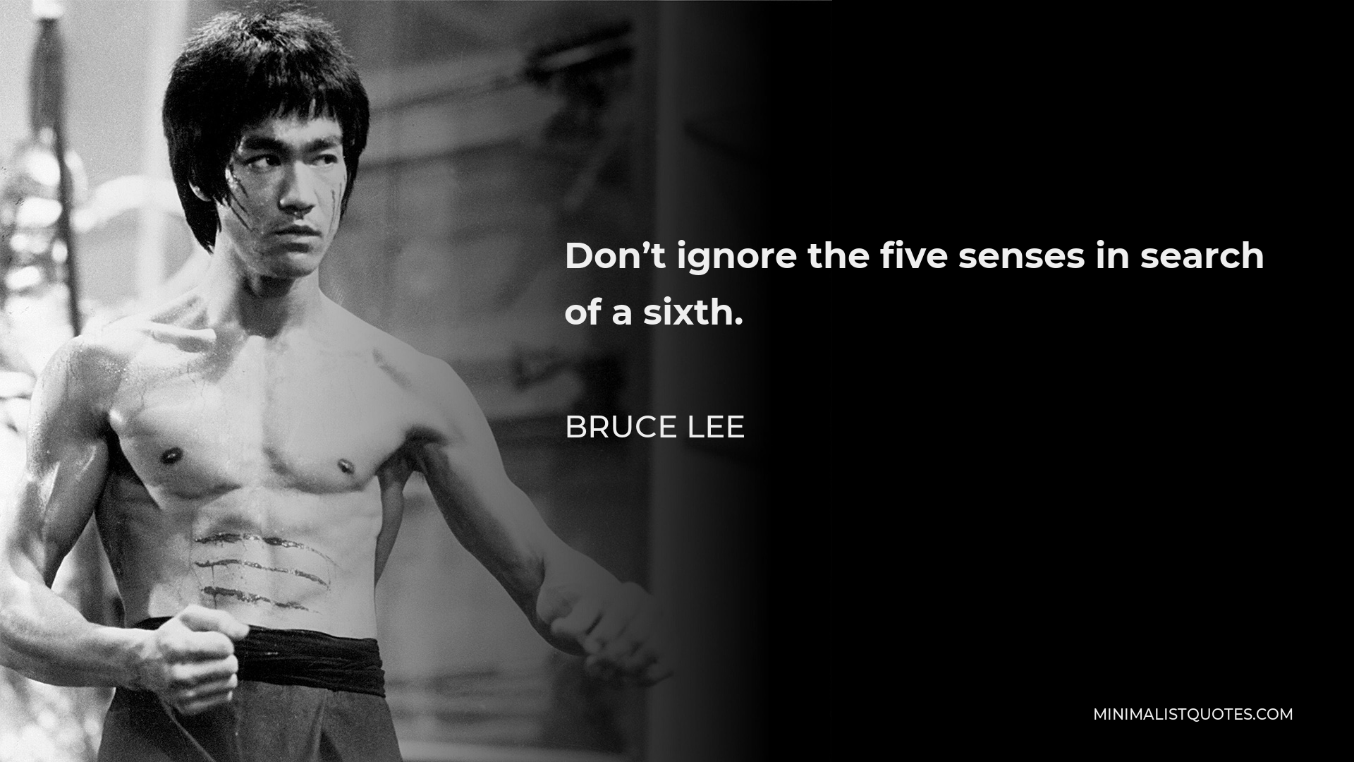 Bruce Lee Quote - Don’t ignore the five senses in search of a sixth.