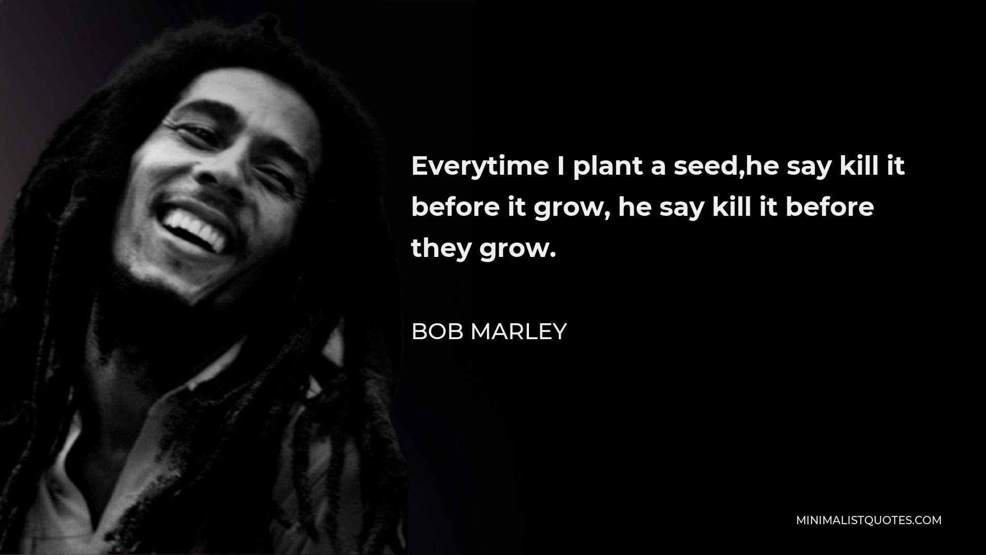 Bob Marley Quote - Everytime I plant a seed,he say kill it before it grow, he say kill it before they grow.