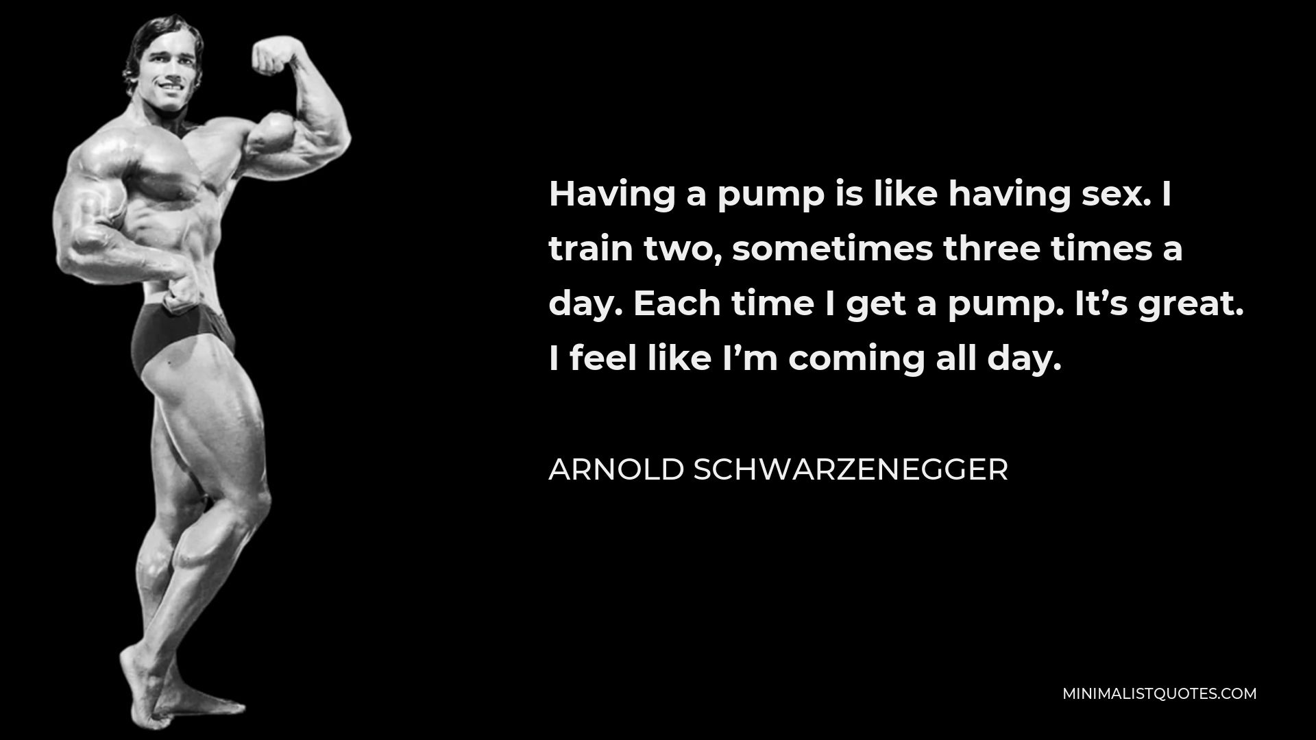 Arnold Schwarzenegger Quote - Having a pump is like having sex. I train two, sometimes three times a day. Each time I get a pump. It’s great. I feel like I’m coming all day.