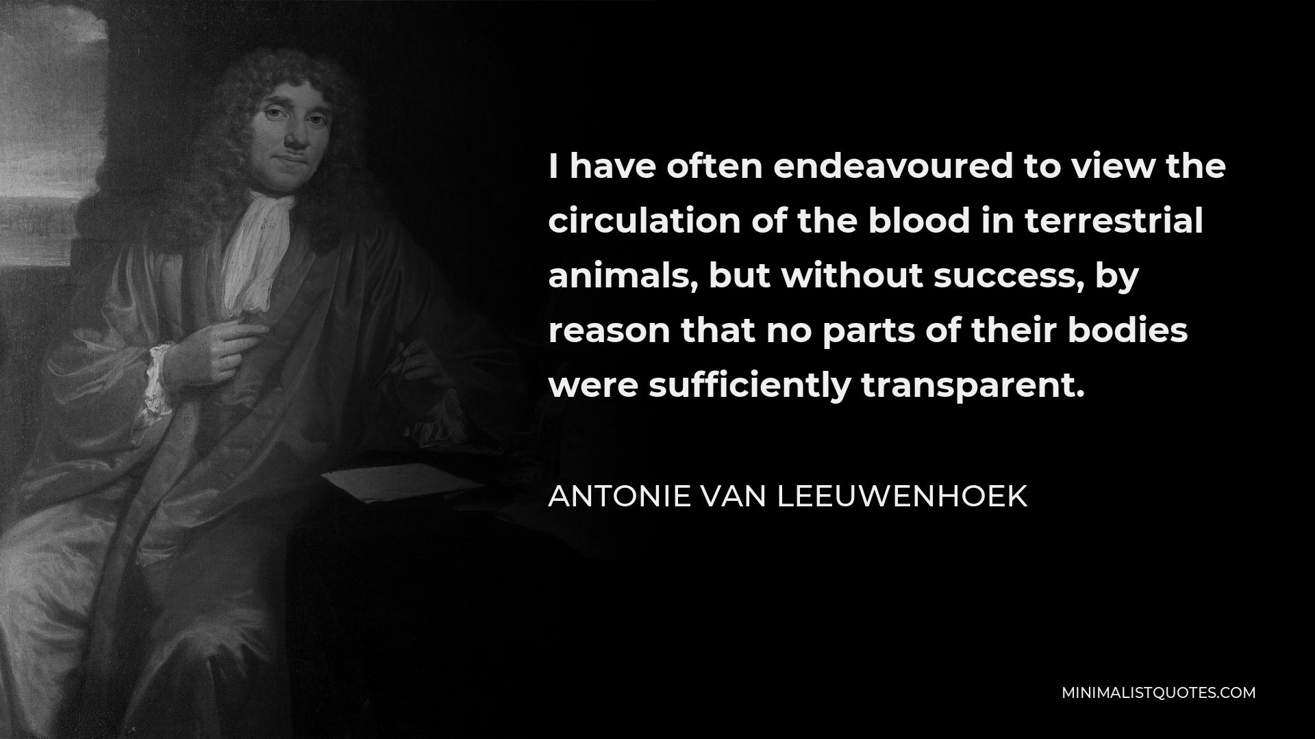 Antonie van Leeuwenhoek Quote - I have often endeavoured to view the circulation of the blood in terrestrial animals, but without success, by reason that no parts of their bodies were sufficiently transparent.