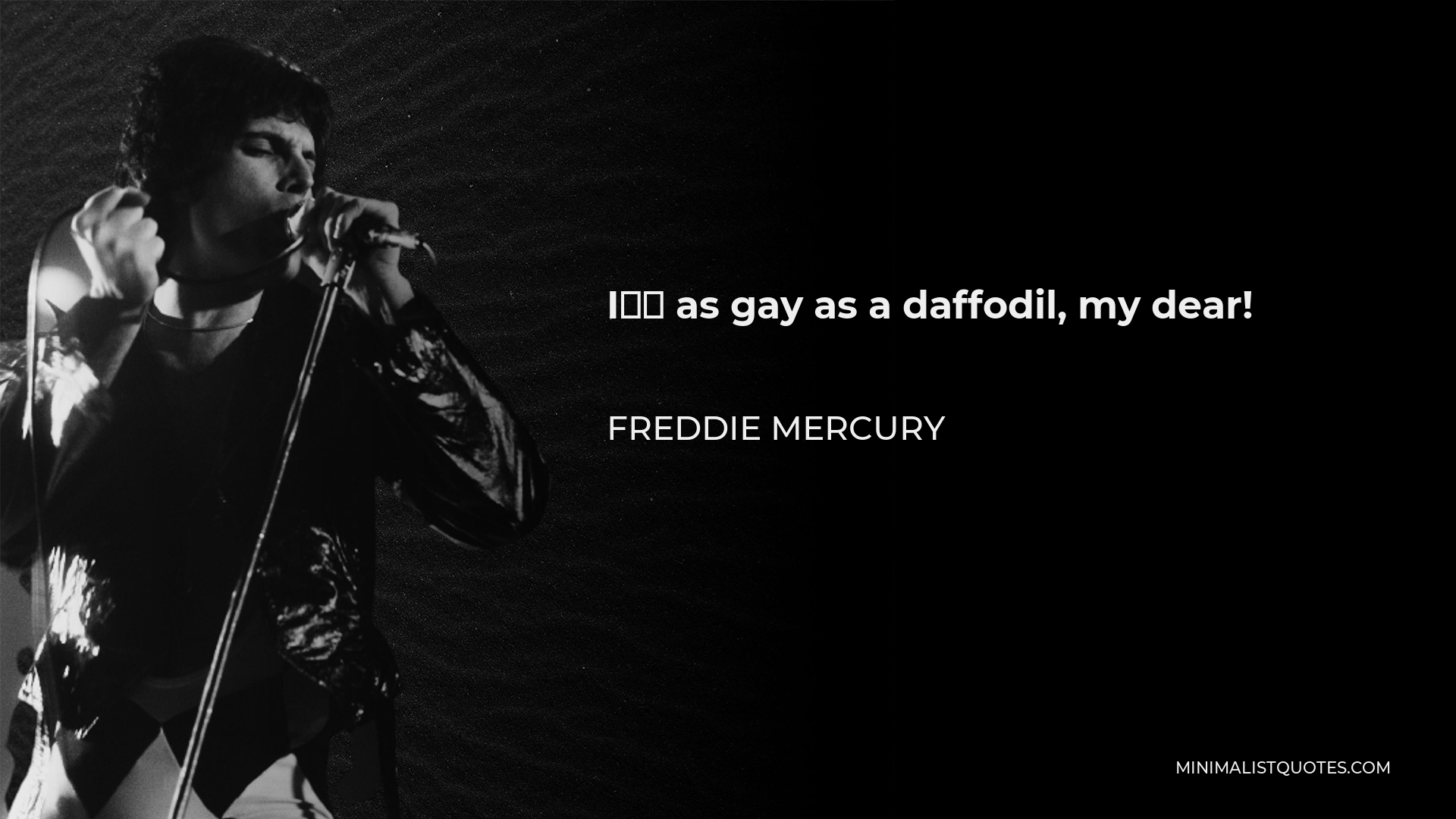 Freddie Mercury Quote: I’m as gay as a daffodil, my dear!