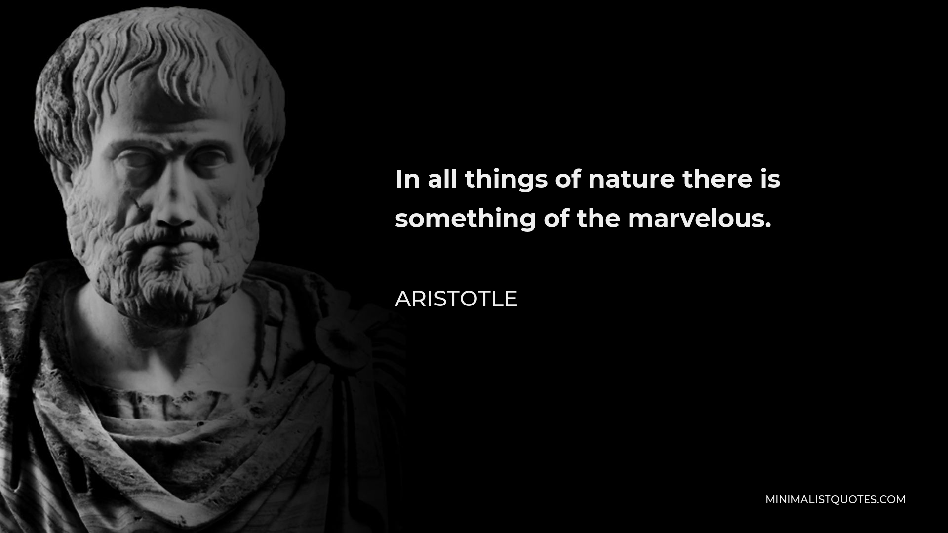 Aristotle Quote: In all things of nature there is something of the ...