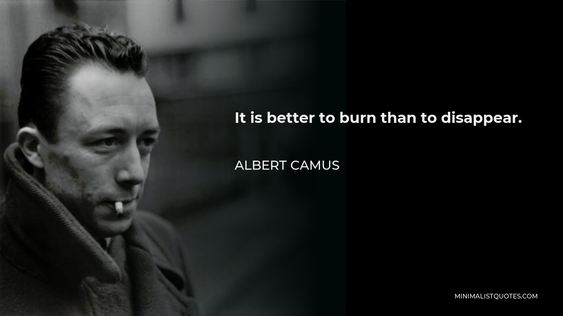 Albert Camus Quote - It is better to burn than to disappear.