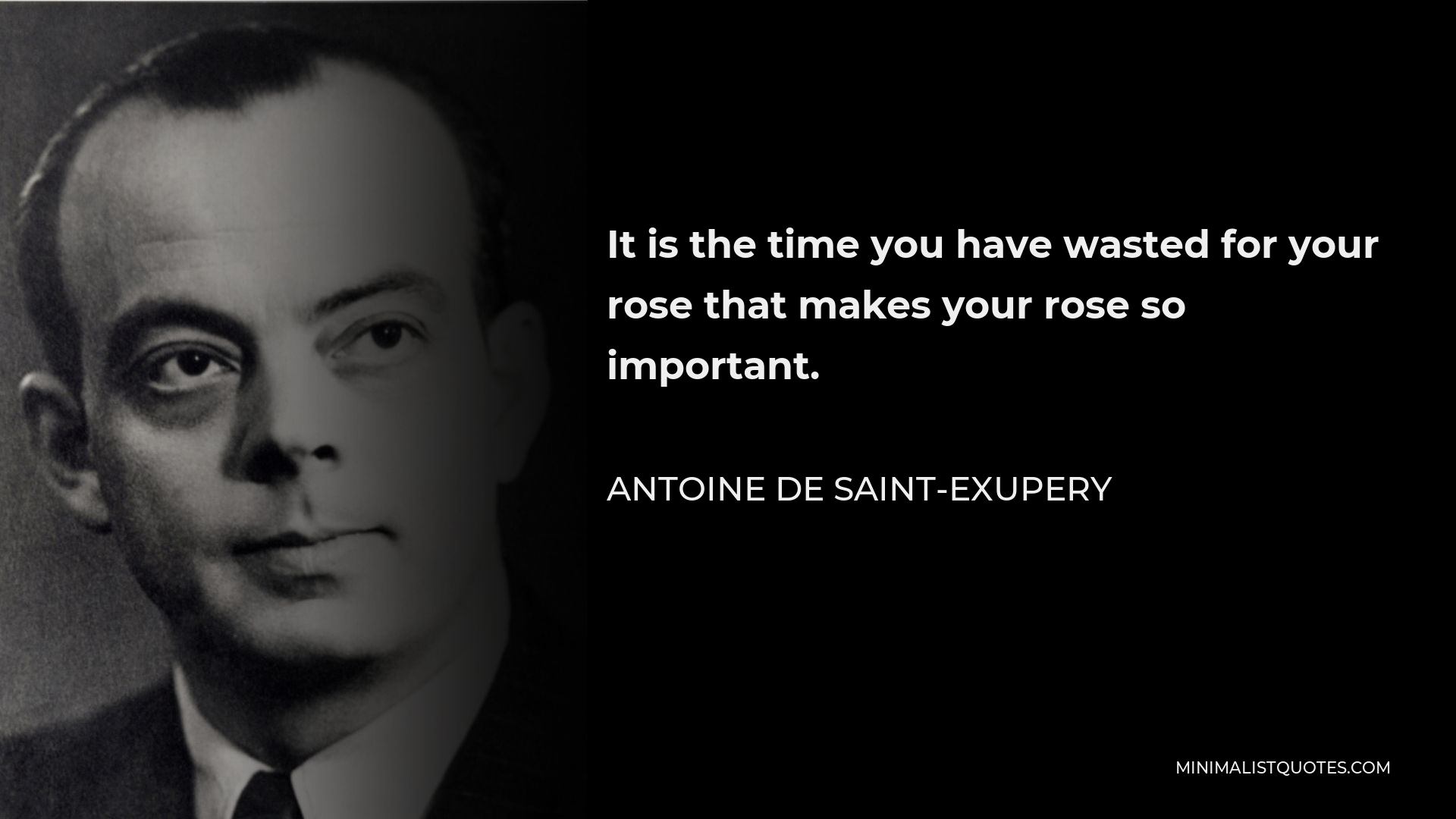 Antoine de Saint-Exupery Quote - It is the time you have wasted for your rose that makes your rose so important.
