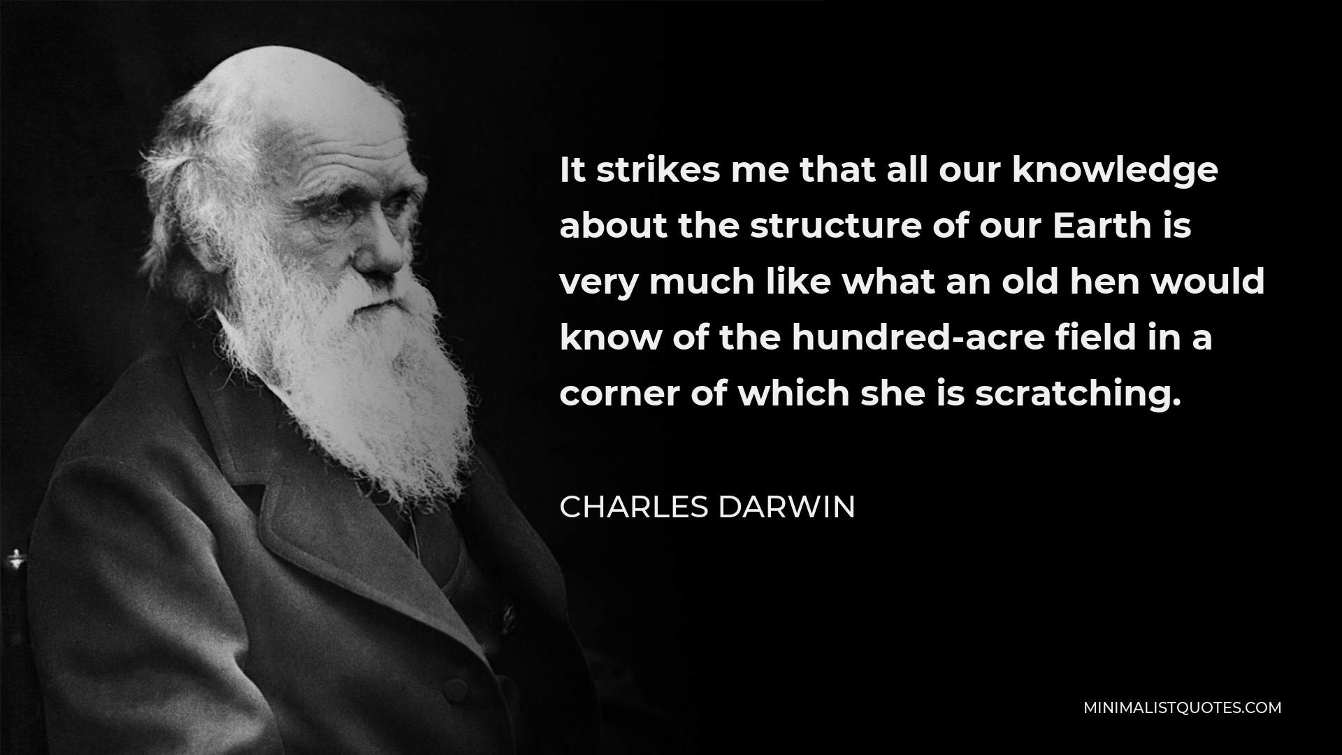 Charles Darwin Quote - It strikes me that all our knowledge about the structure of our Earth is very much like what an old hen would know of the hundred-acre field in a corner of which she is scratching.