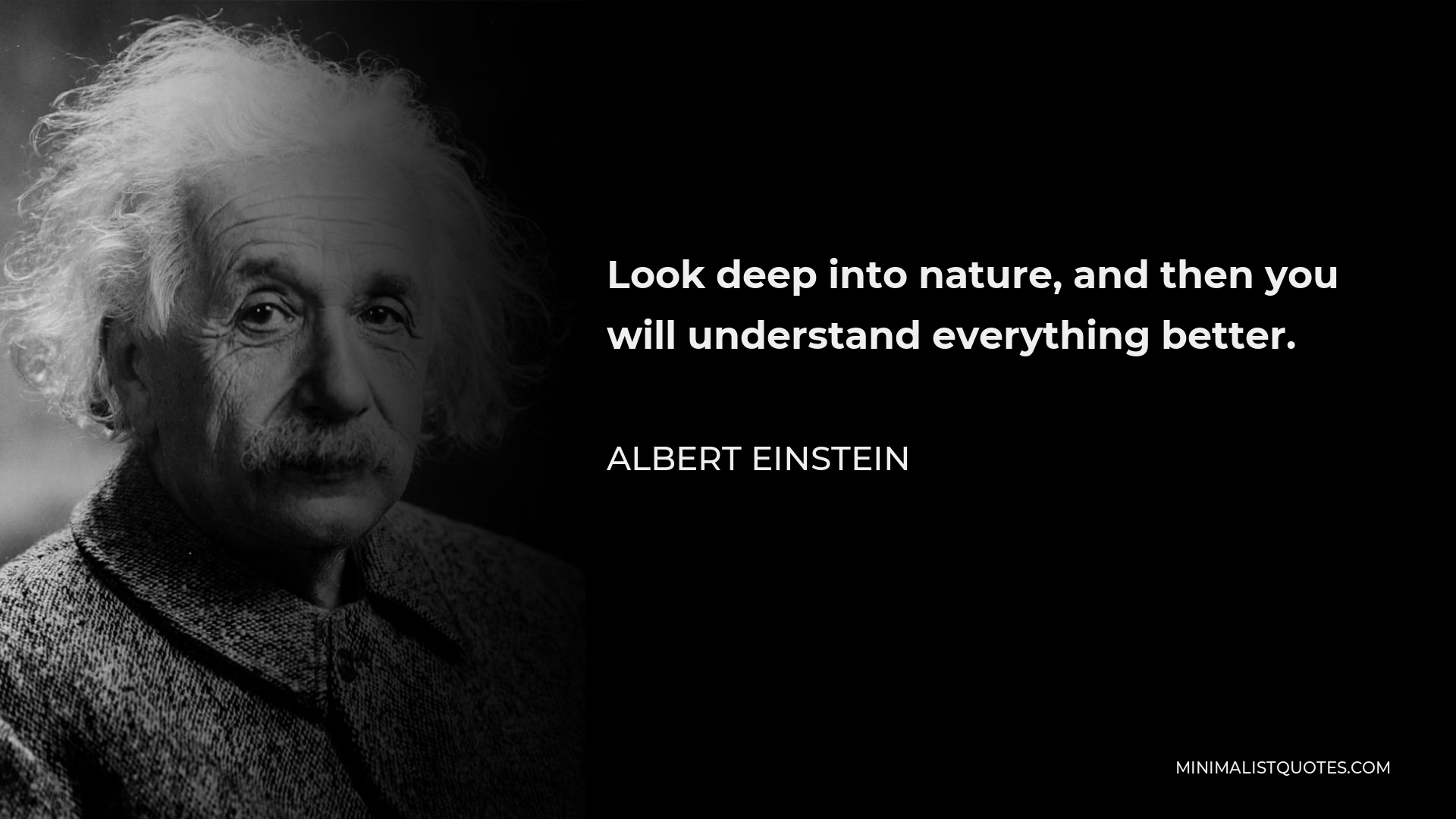 Albert Einstein Quote - Look deep into nature, and then you will understand everything better.