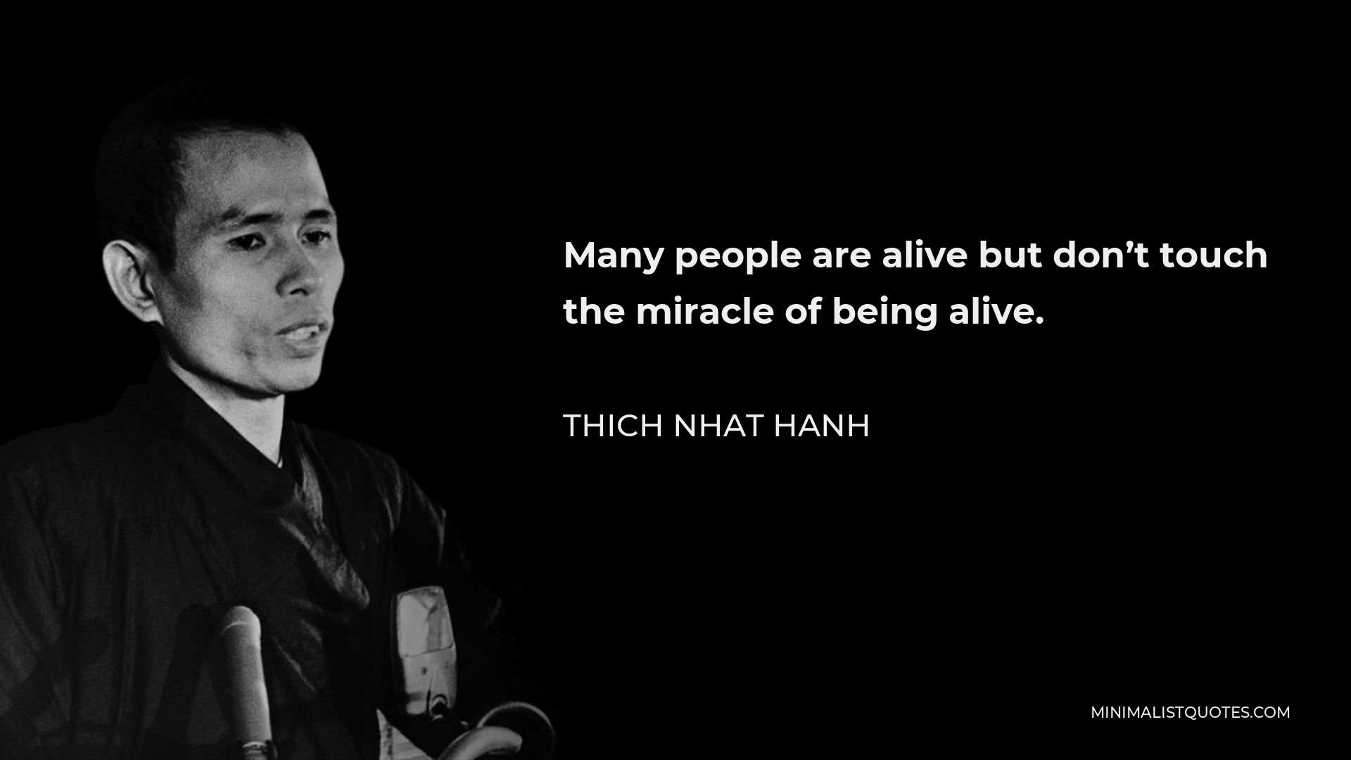 Thich Nhat Hanh Quote - Many people are alive but don’t touch the miracle of being alive.