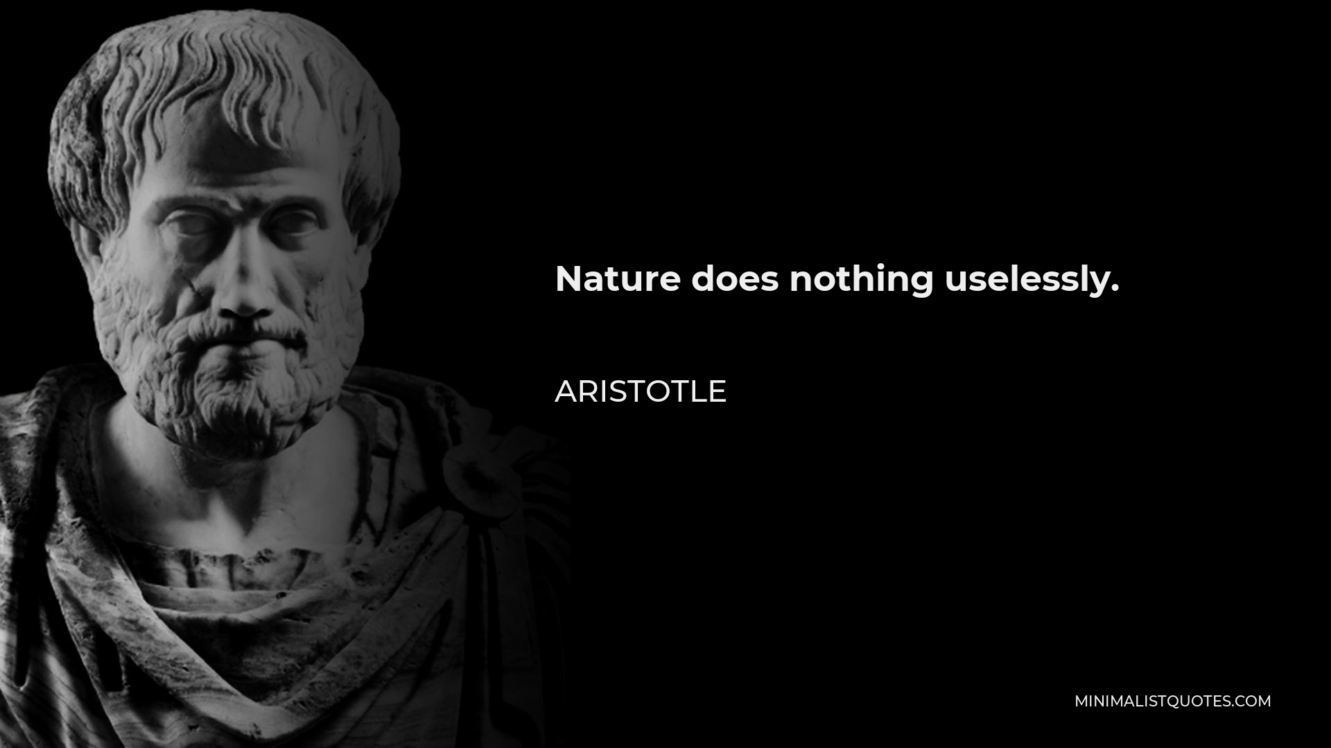 Aristotle Quote - Nature does nothing uselessly.