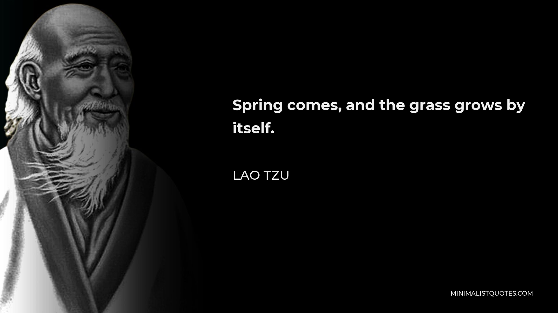 Lao Tzu Quote - Spring comes, and the grass grows by itself.