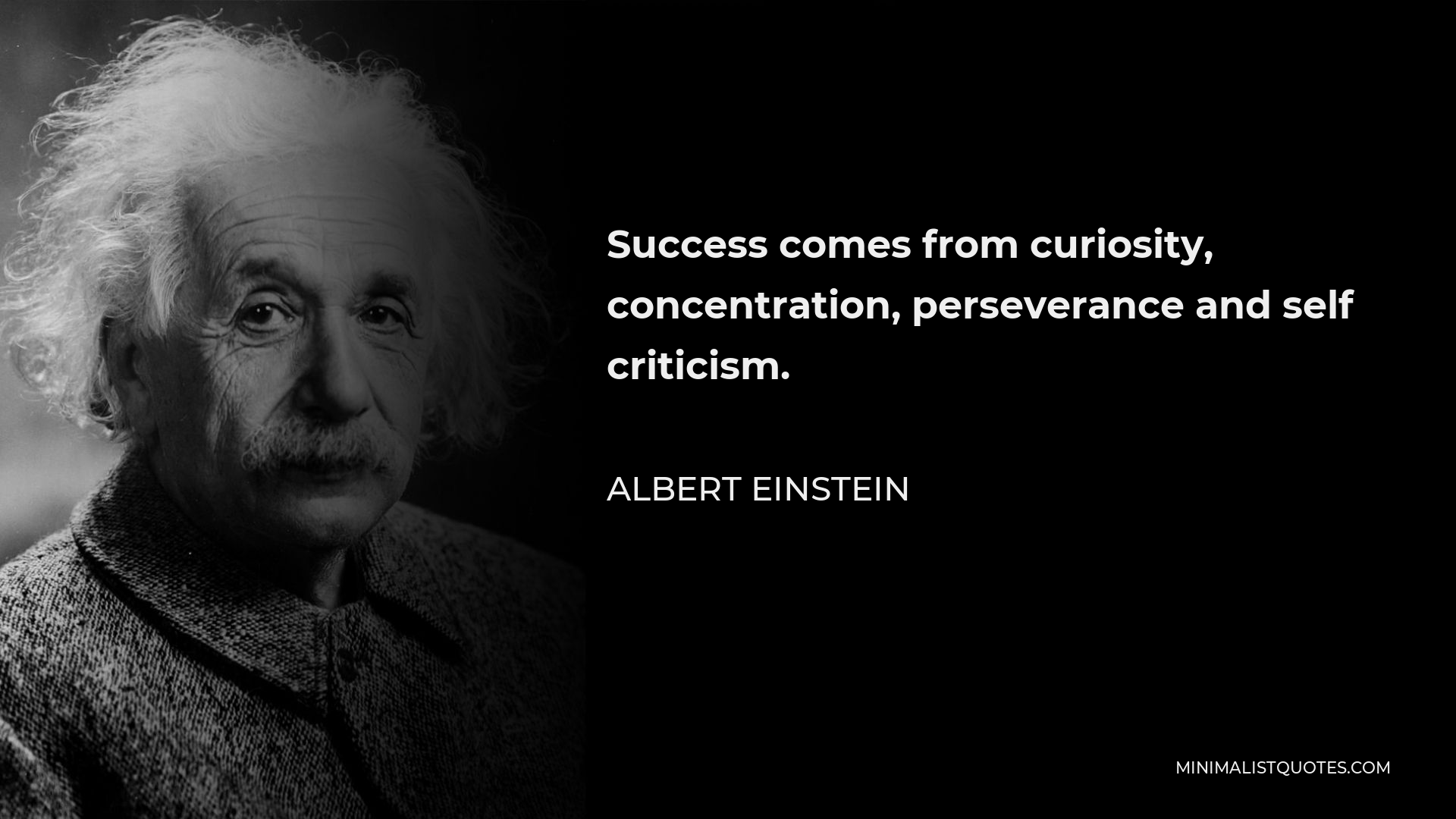 Albert Einstein Quote - Success comes from curiosity, concentration, perseverance and self criticism.