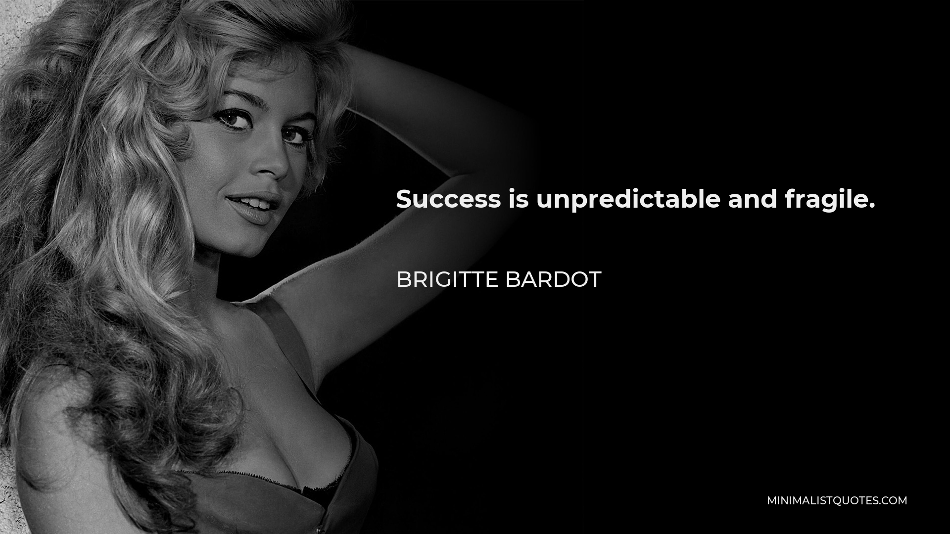 Brigitte Bardot Quote - Success is unpredictable and fragile.