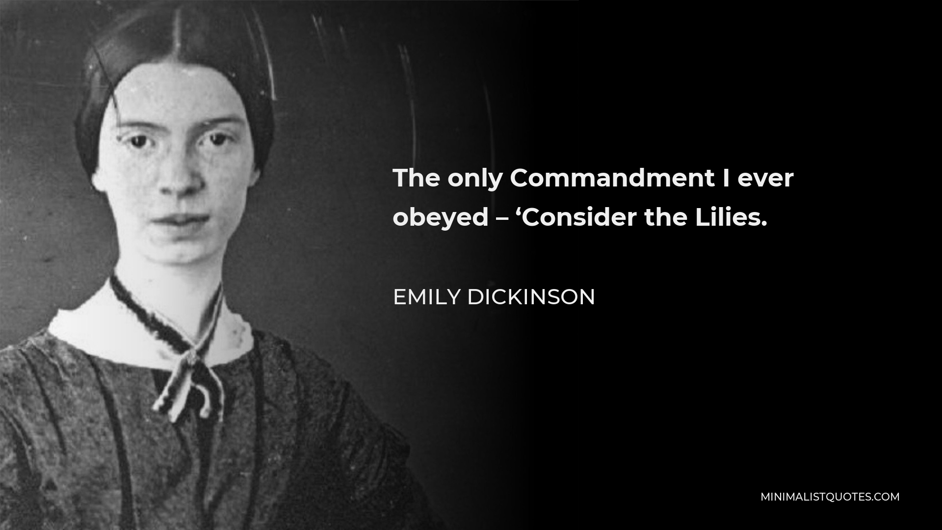 Emily Dickinson Quote - The only Commandment I ever obeyed – ‘Consider the Lilies.