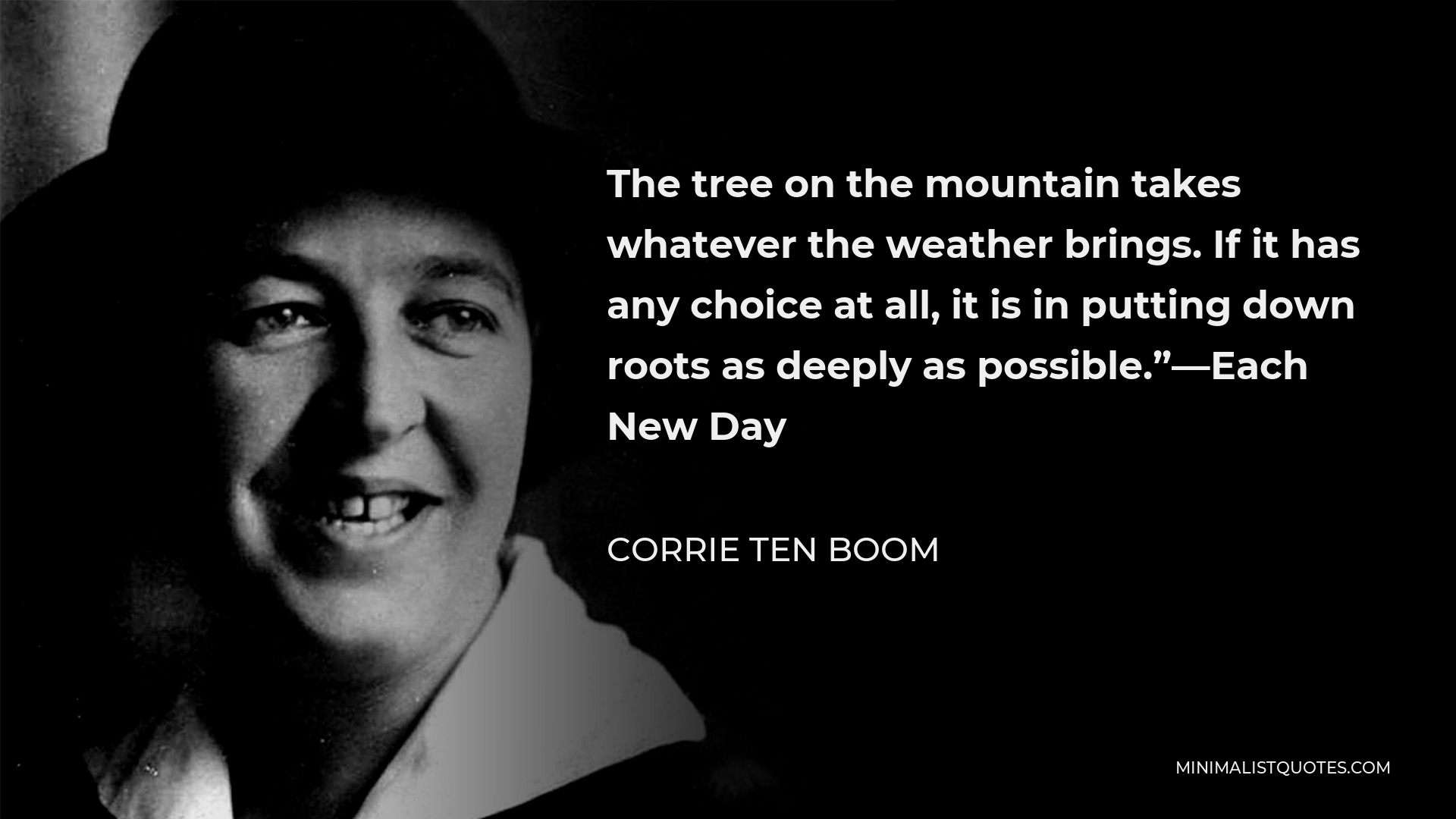 Corrie ten Boom Quote - The tree on the mountain takes whatever the weather brings. If it has any choice at all, it is in putting down roots as deeply as possible.”—Each New Day