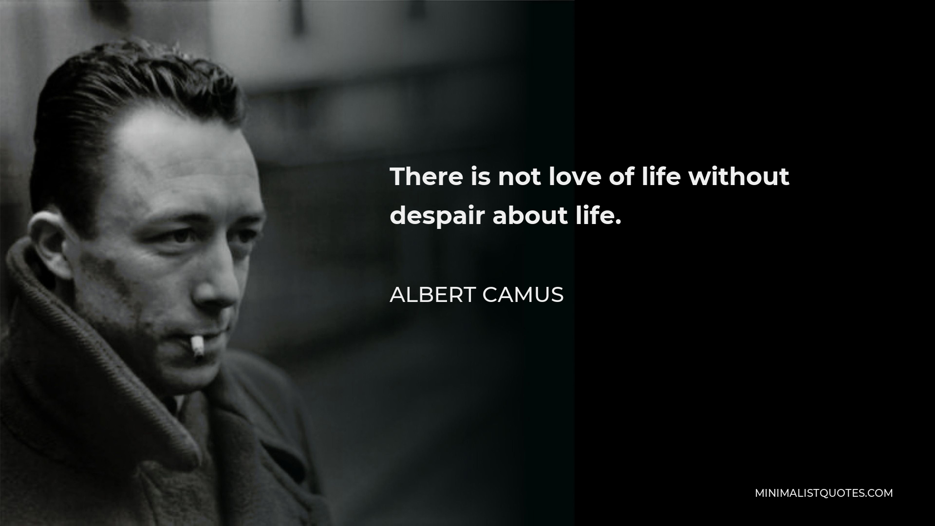 Albert Camus Quote - There is not love of life without despair about life.