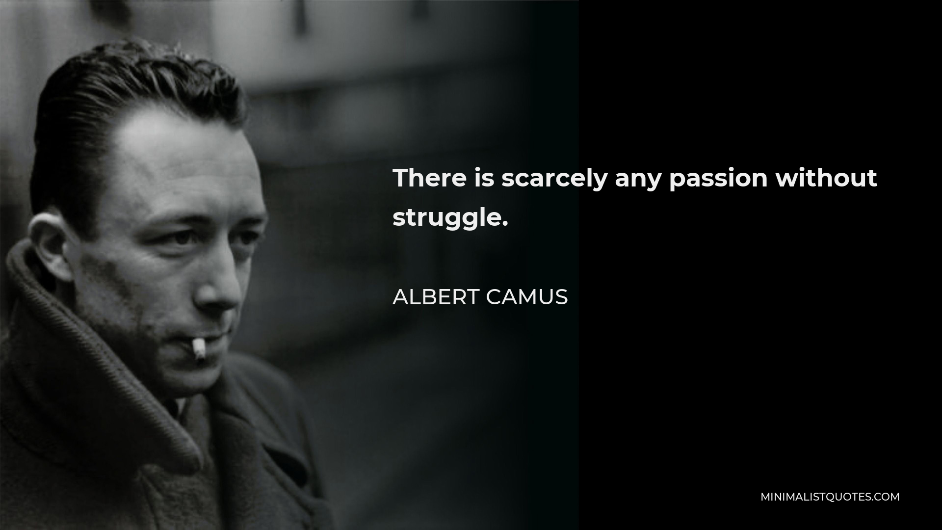 Albert Camus Quote - There is scarcely any passion without struggle.