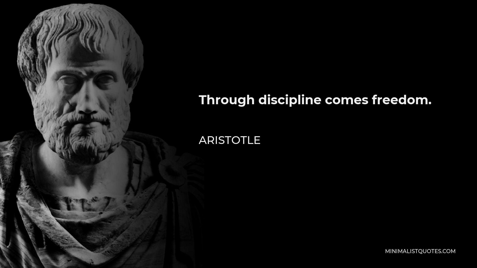 Plato  Aristotle quote lockscreen  Fotos de jacaré Citações 2pac  Fotografia de basquete