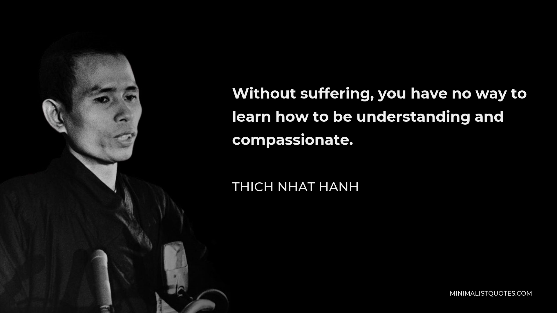Thich Nhat Hanh Quote - Without suffering, you have no way to learn how to be understanding and compassionate.