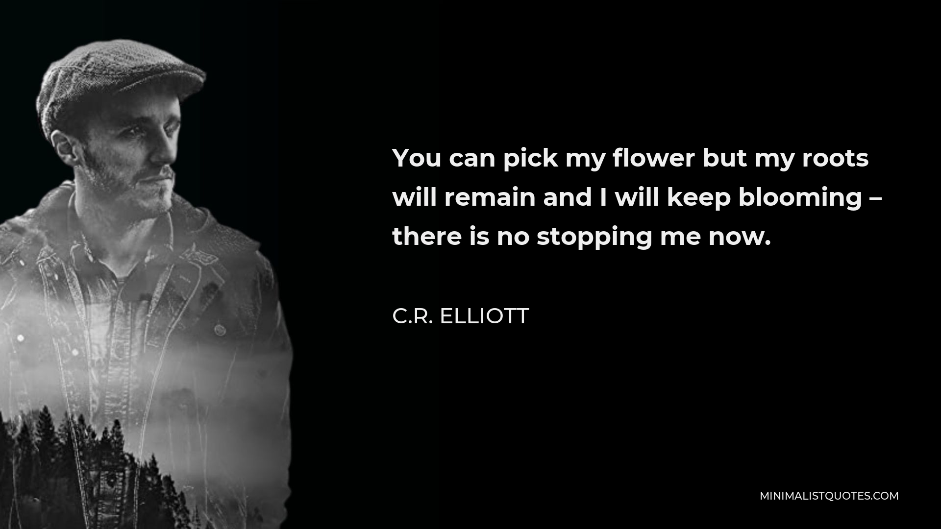 C.R. Elliott Quote - You can pick my flower but my roots will remain and I will keep blooming – there is no stopping me now.