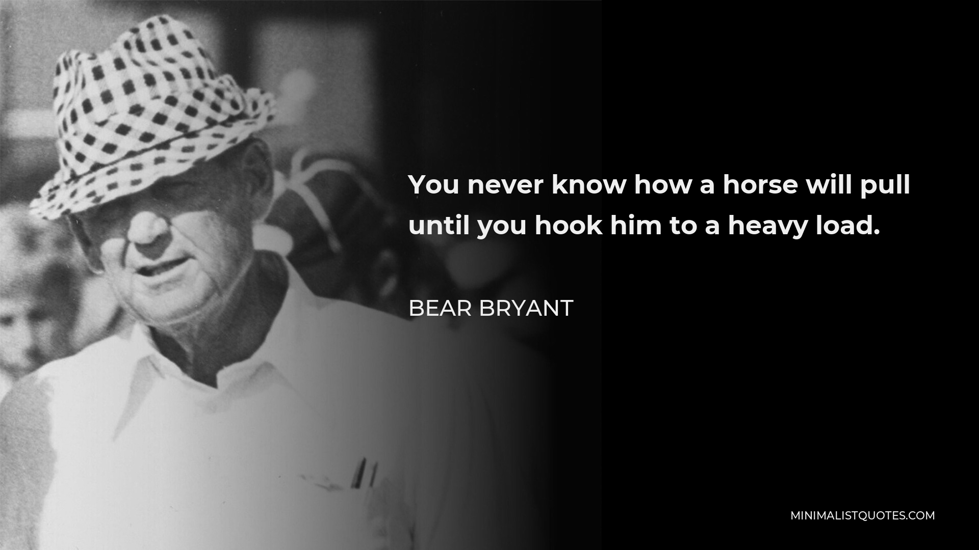 Bear Bryant Quote - You never know how a horse will pull until you hook him to a heavy load.