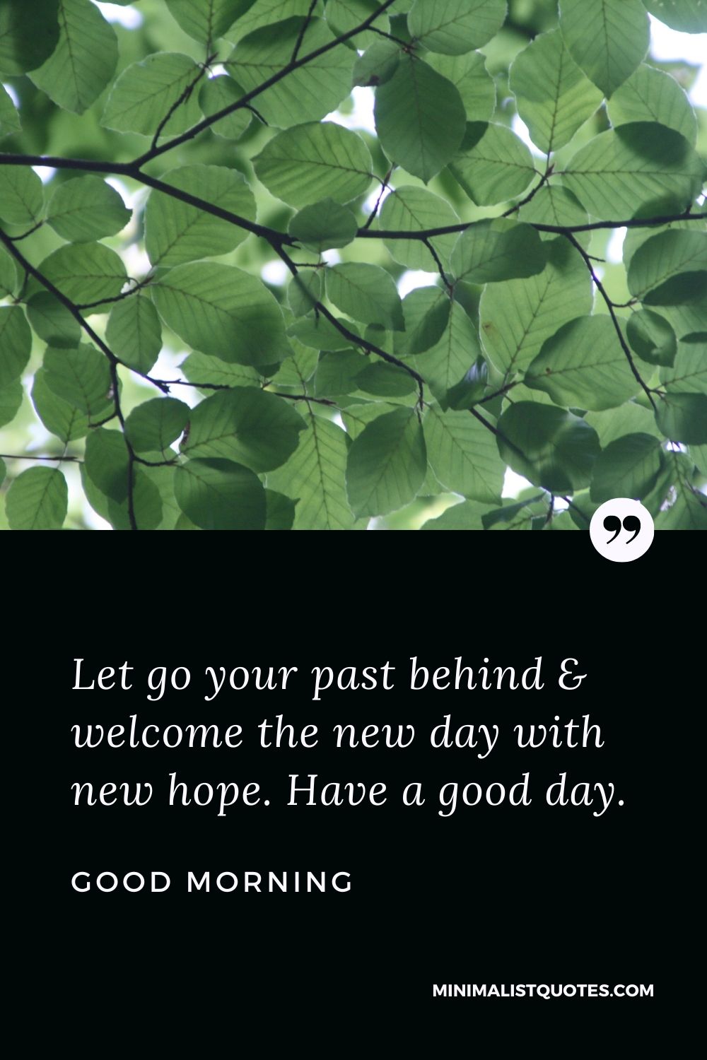Good Morning Wish & Message With Image: Let go your past behind & welcome the new day with new hope. Have a good day.