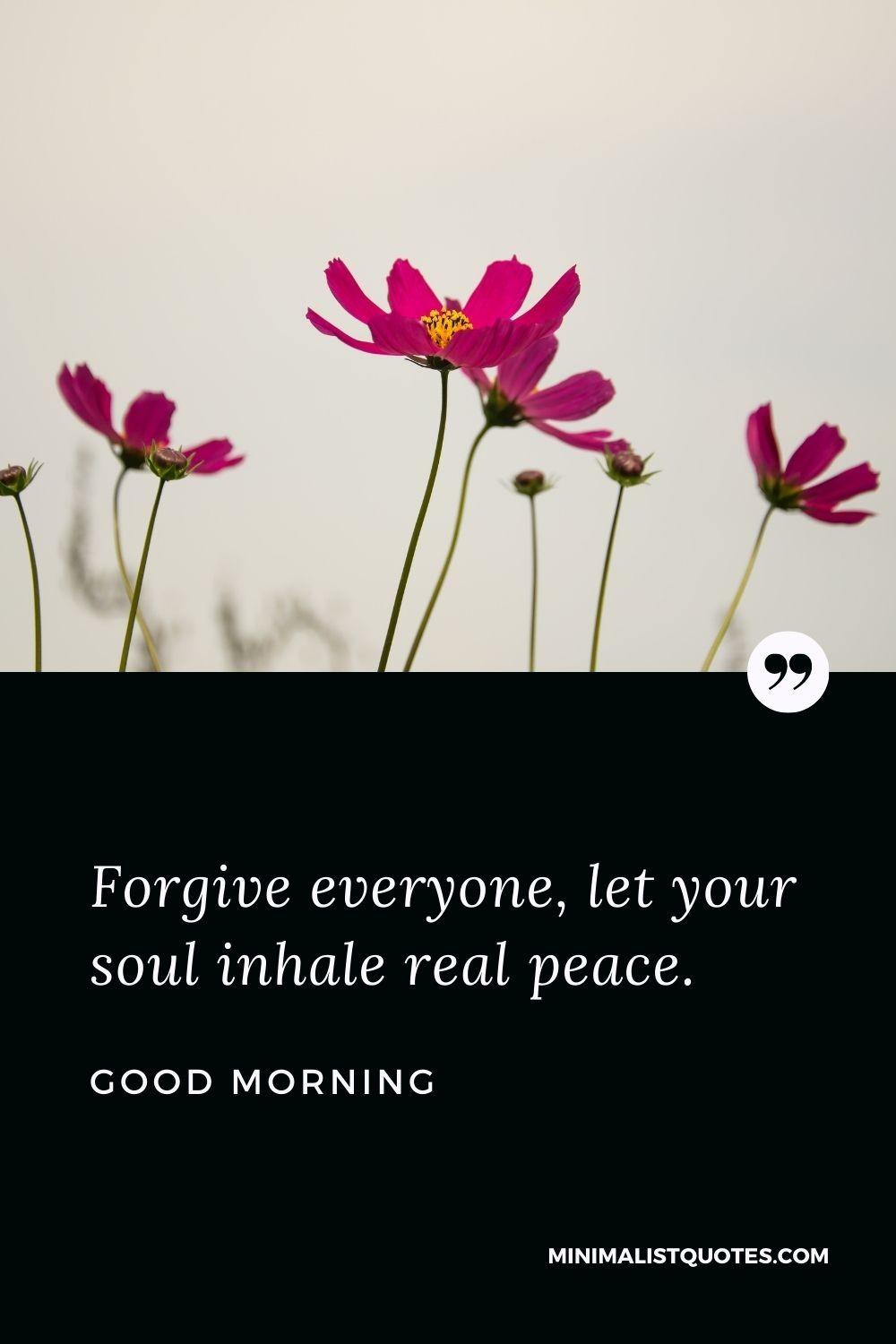 Good Morning Wish & Message With Image: Forgive everyone, let your soul inhale real peace.